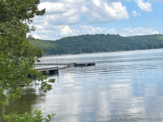 58 Seminole Trail Spavinaw OK 74366