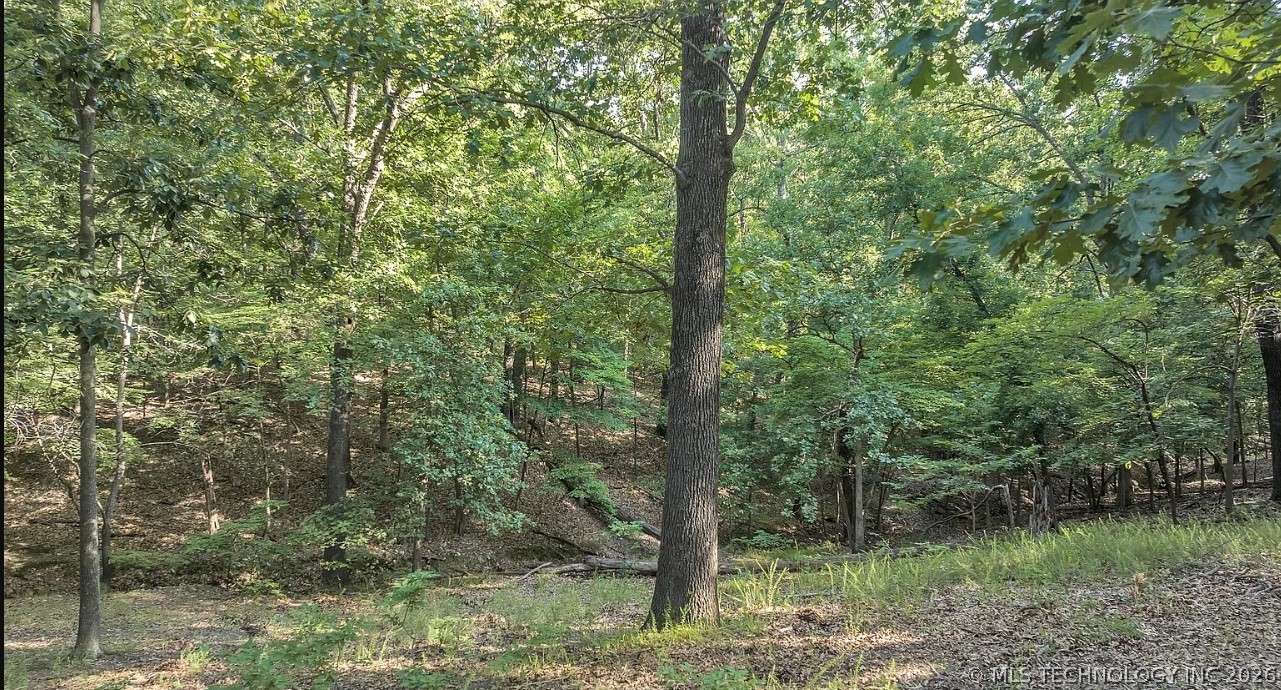 30958 Pack Trail Afton OK 74331