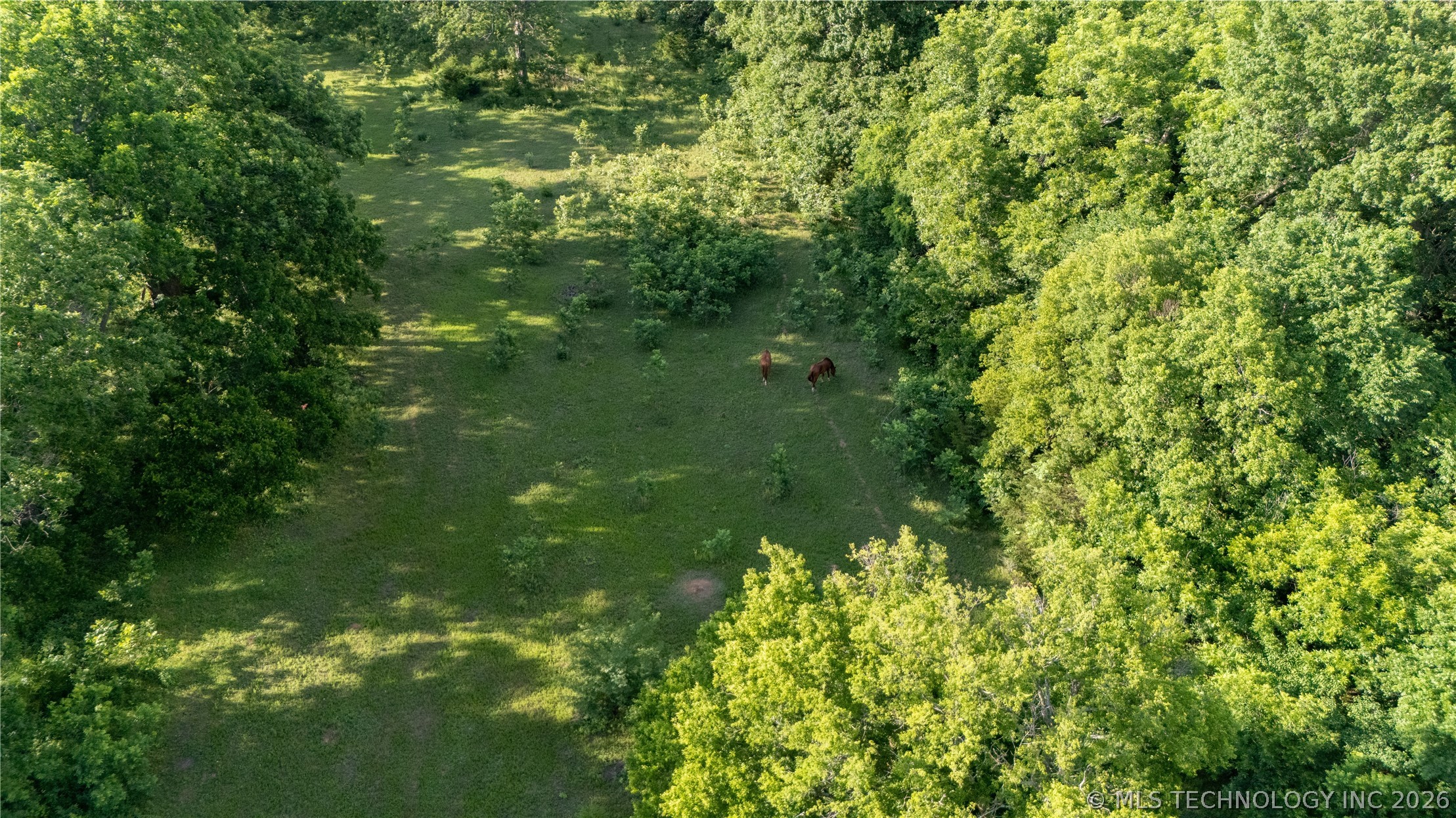 38956 Highway 39 Asher OK 74826