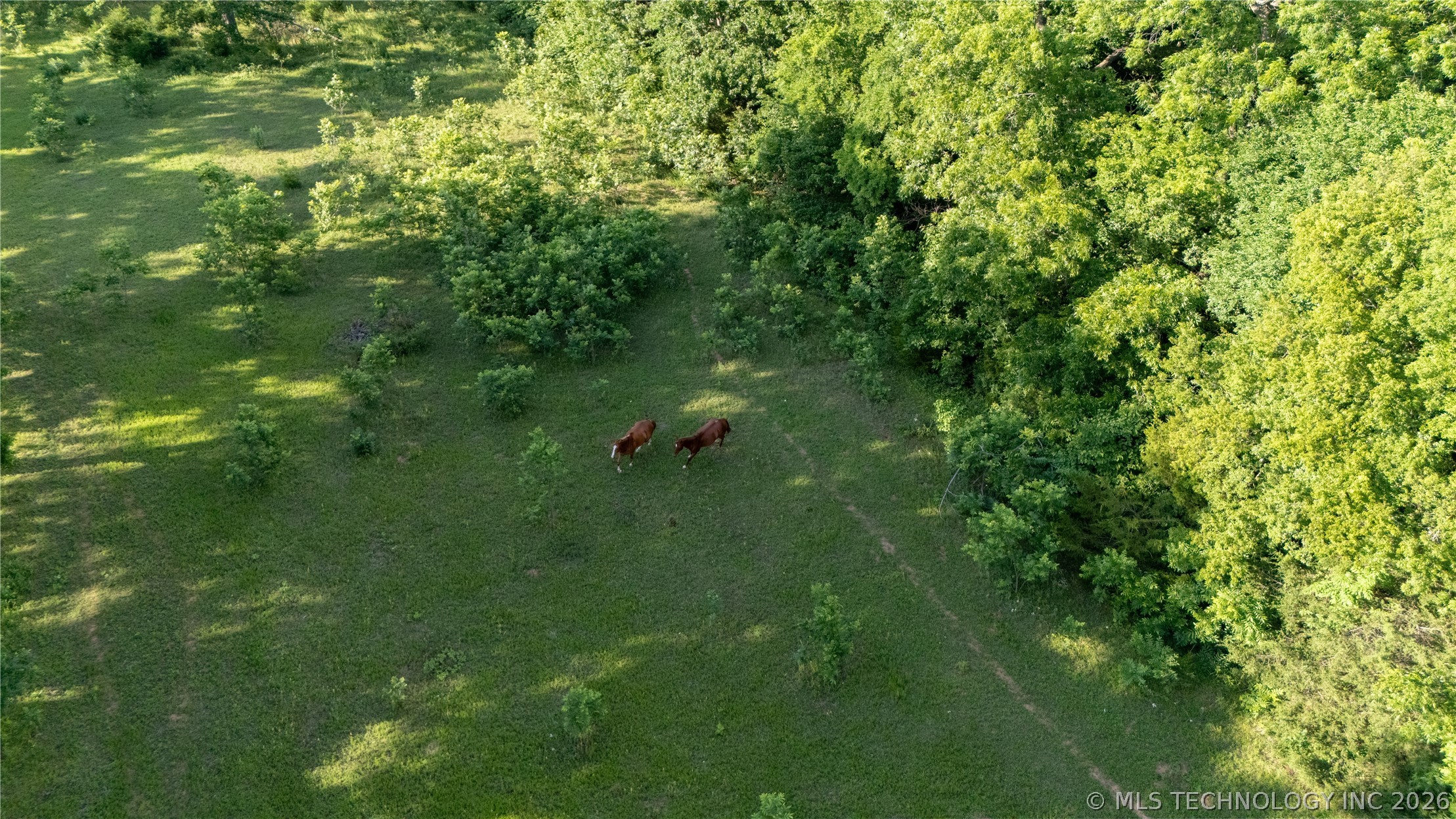 38956 Highway 39 Asher OK 74826