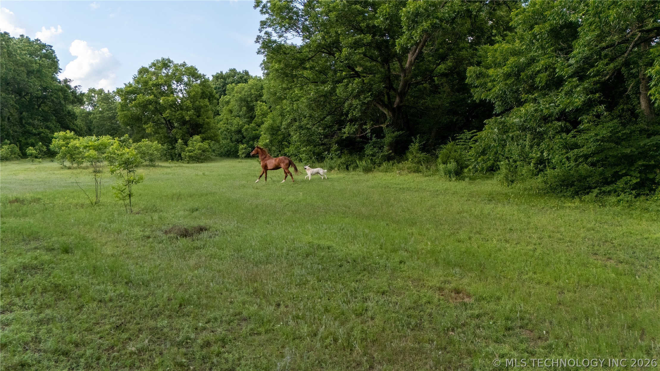 38956 Highway 39 Asher OK 74826