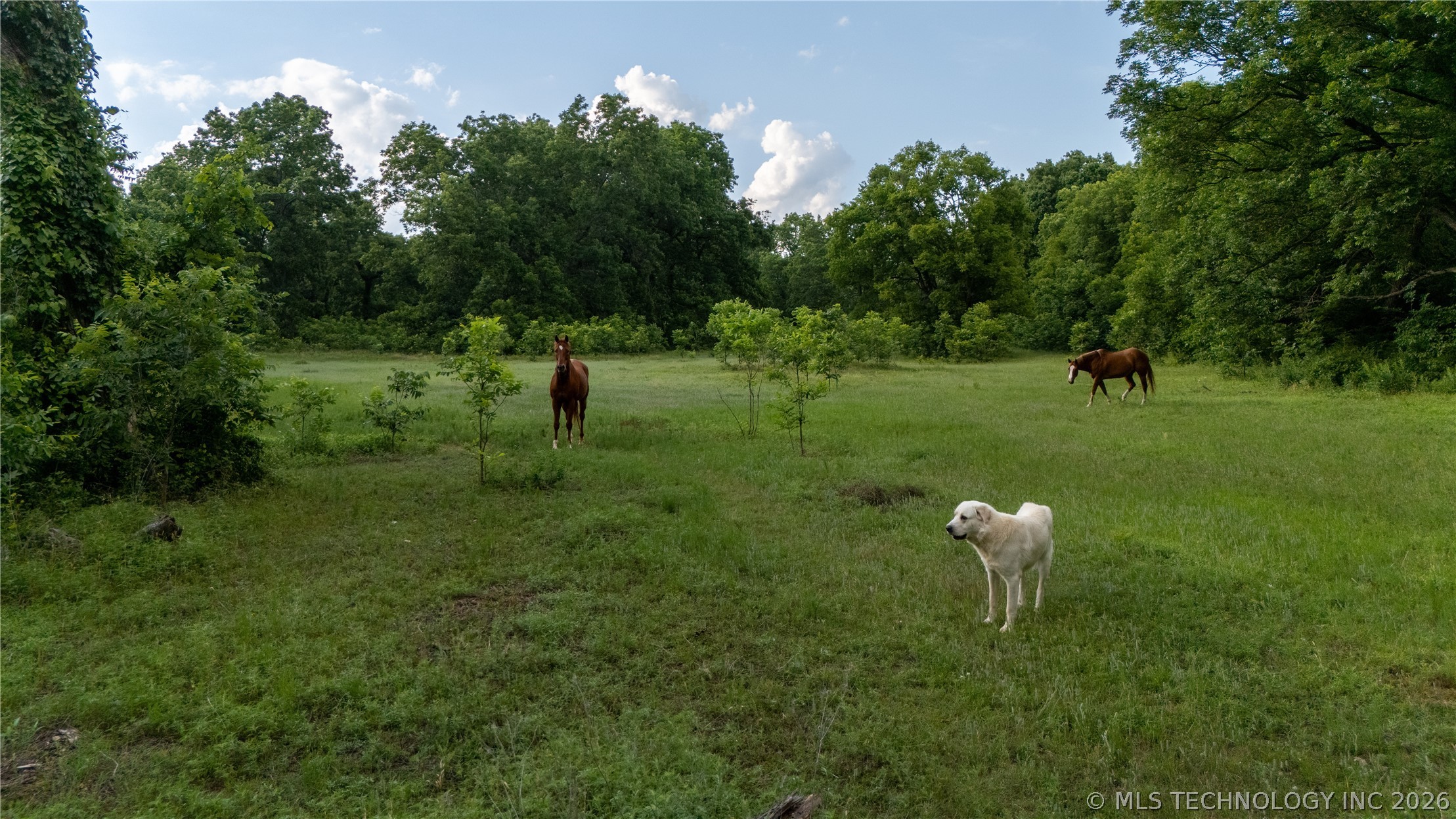 38956 Highway 39 Asher OK 74826