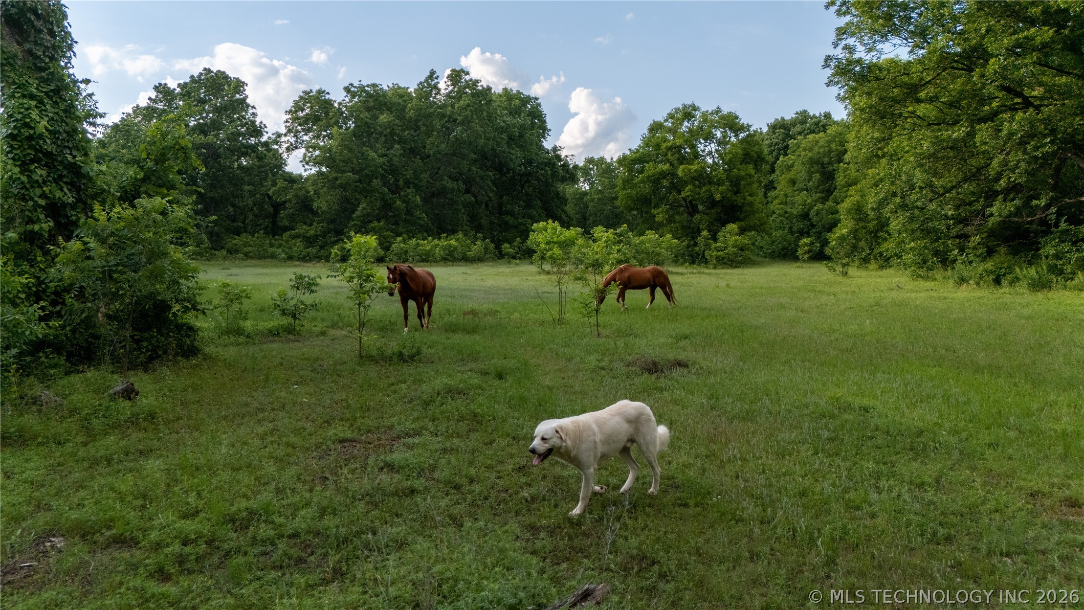 38956 Highway 39 Asher OK 74826