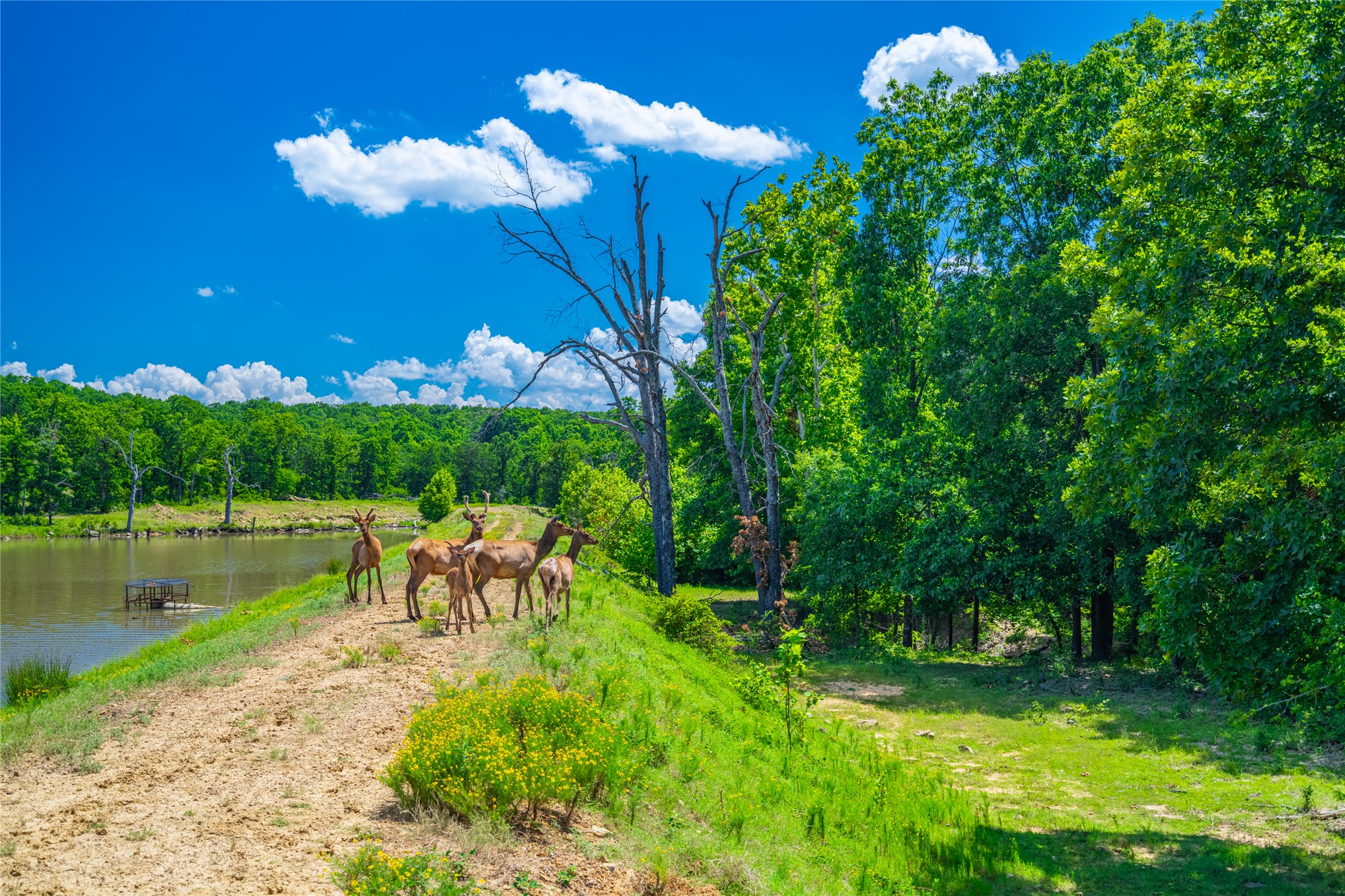2502 N 386 Road Wetumka OK 74883
