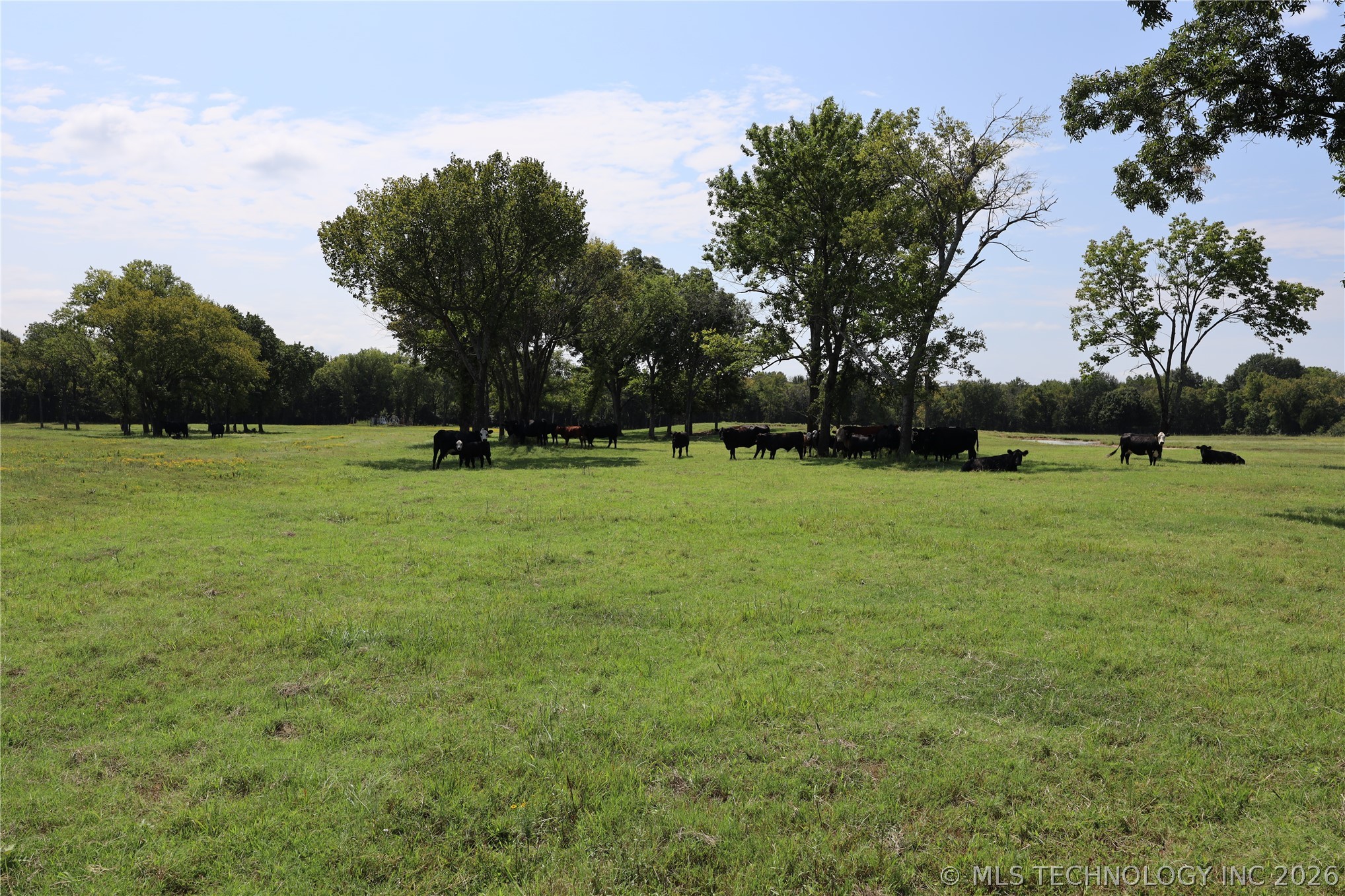 195 Cardell Eufaula OK 74432