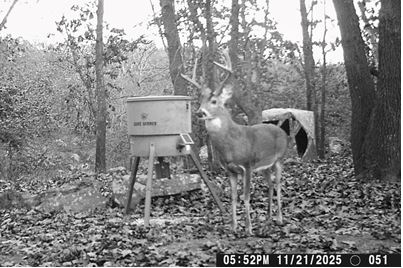 595 County Road 2276 Barnsdall OK 74002