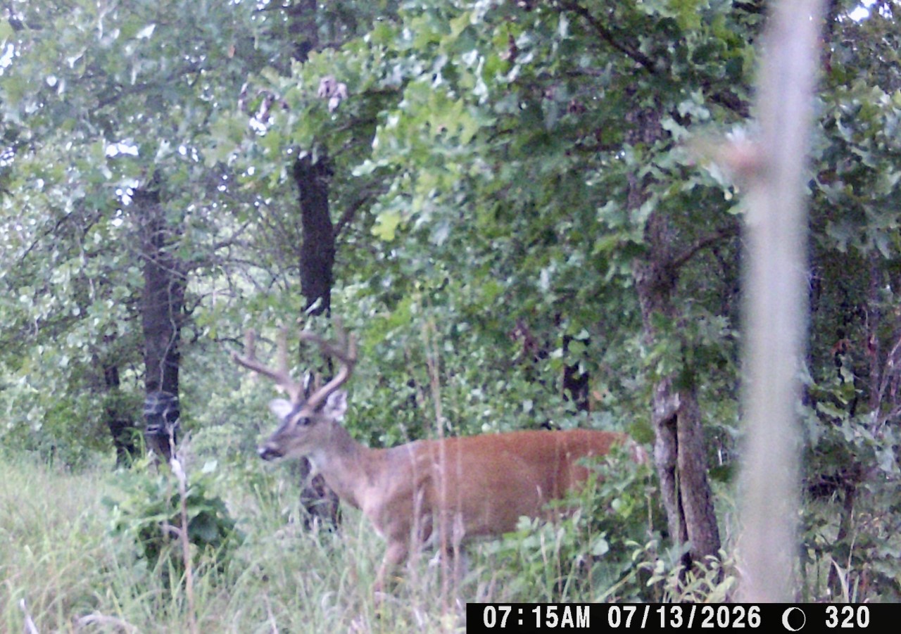 595 County Road 2276 Barnsdall OK 74002