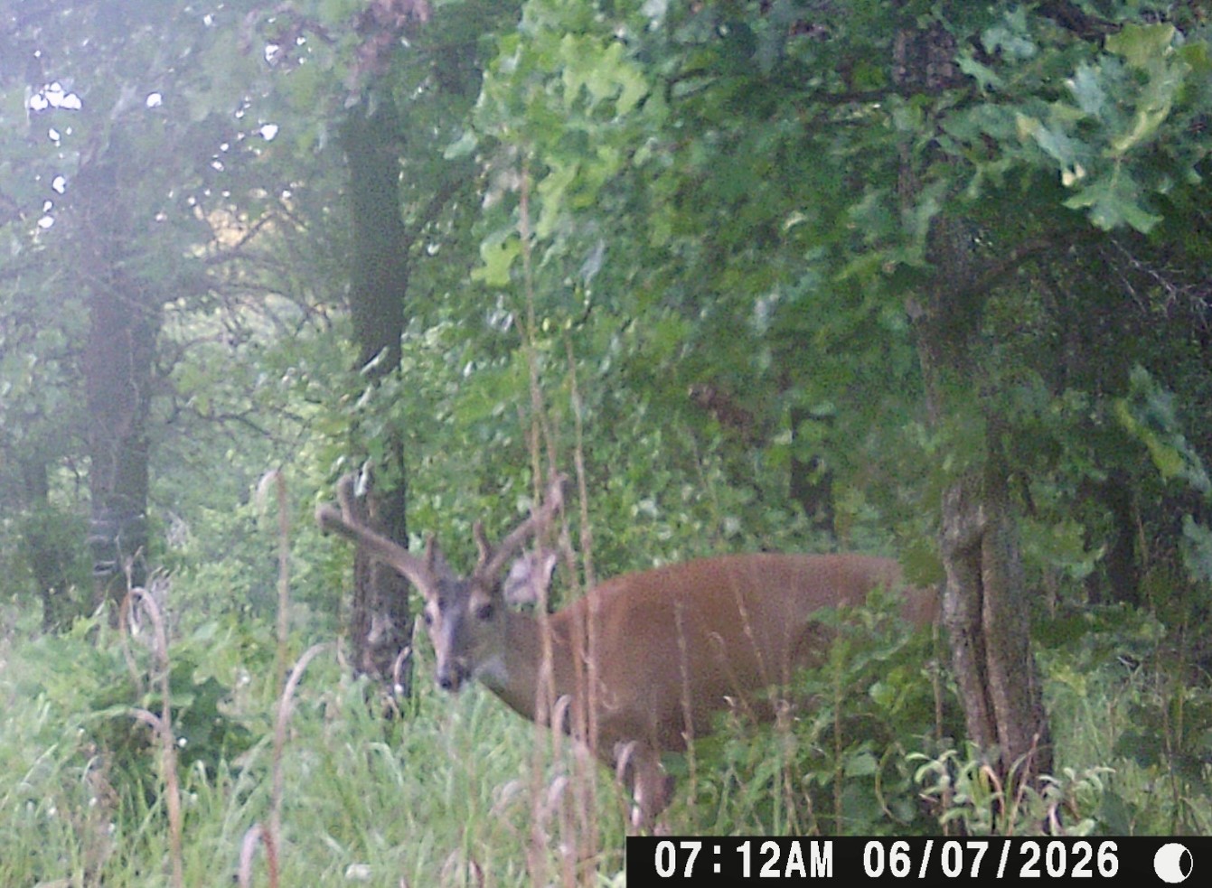 595 County Road 2276 Barnsdall OK 74002