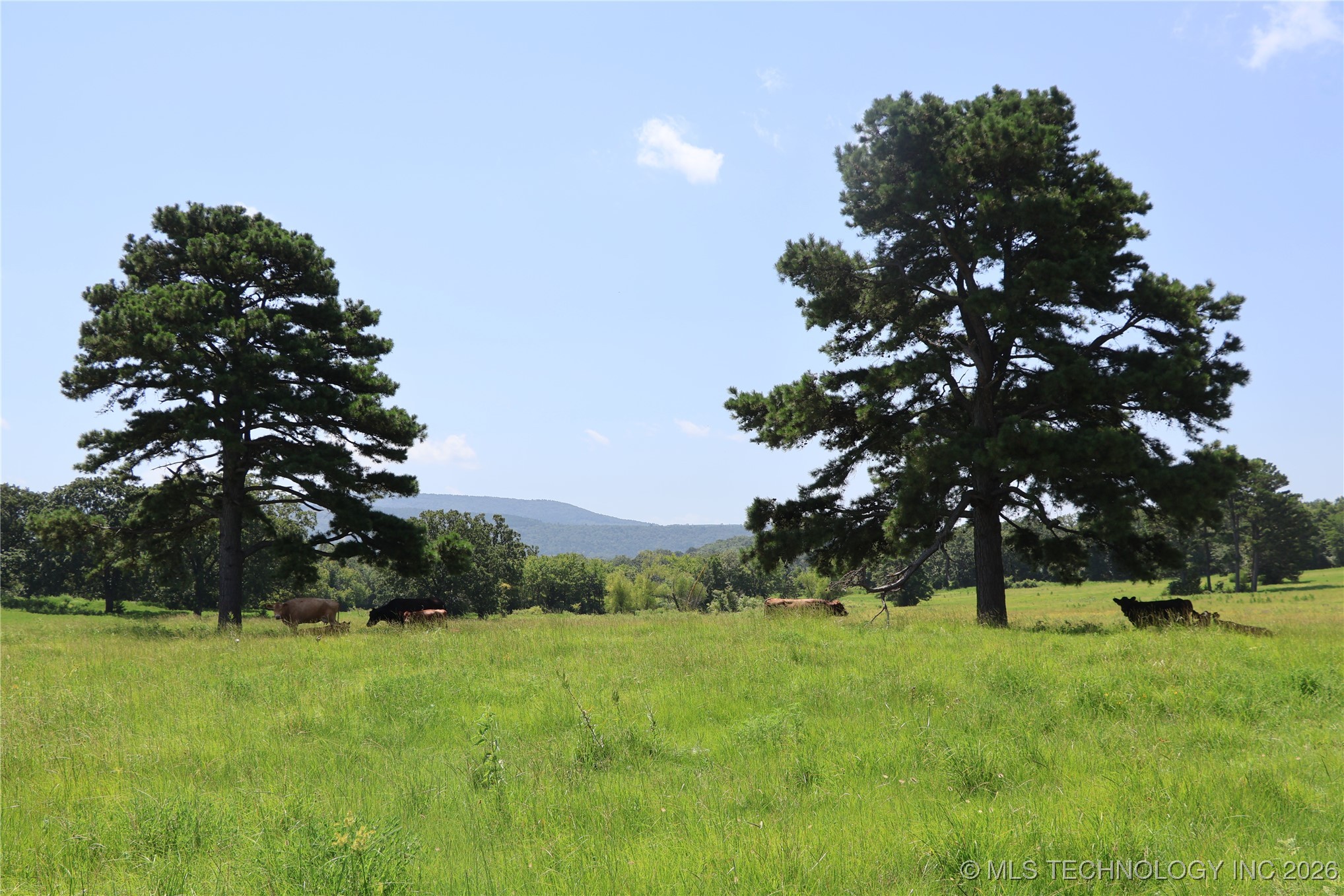 37280 Morris Creek Howe OK 74940