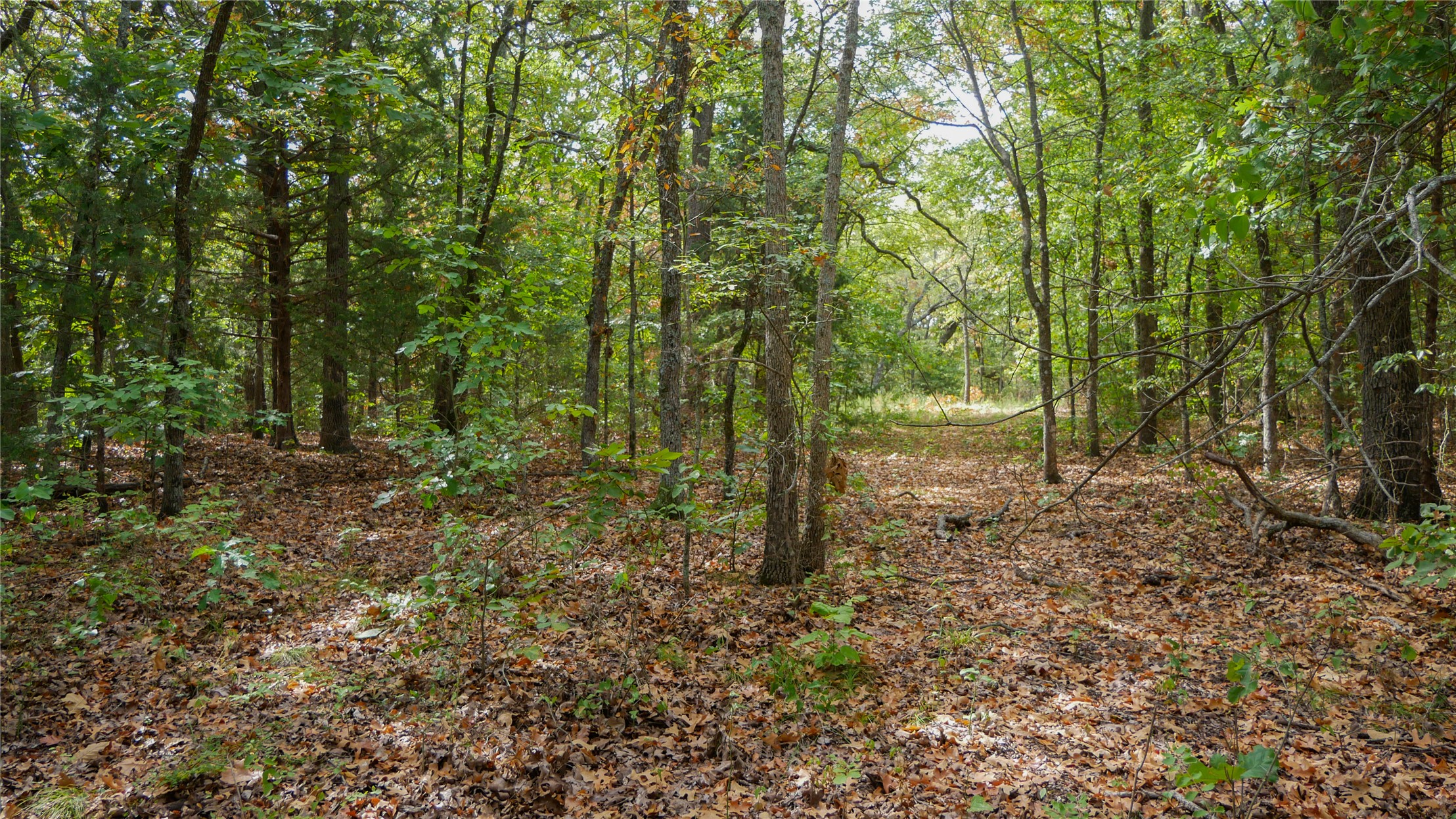17500 County Road 3470 Roff OK 74865