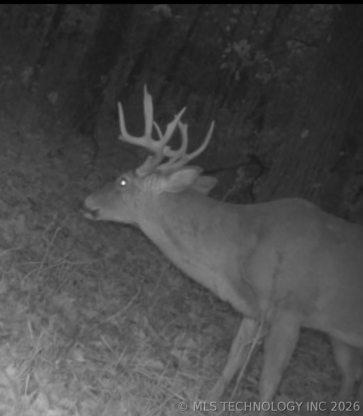 98966 S 4439 Road Gore OK 74435