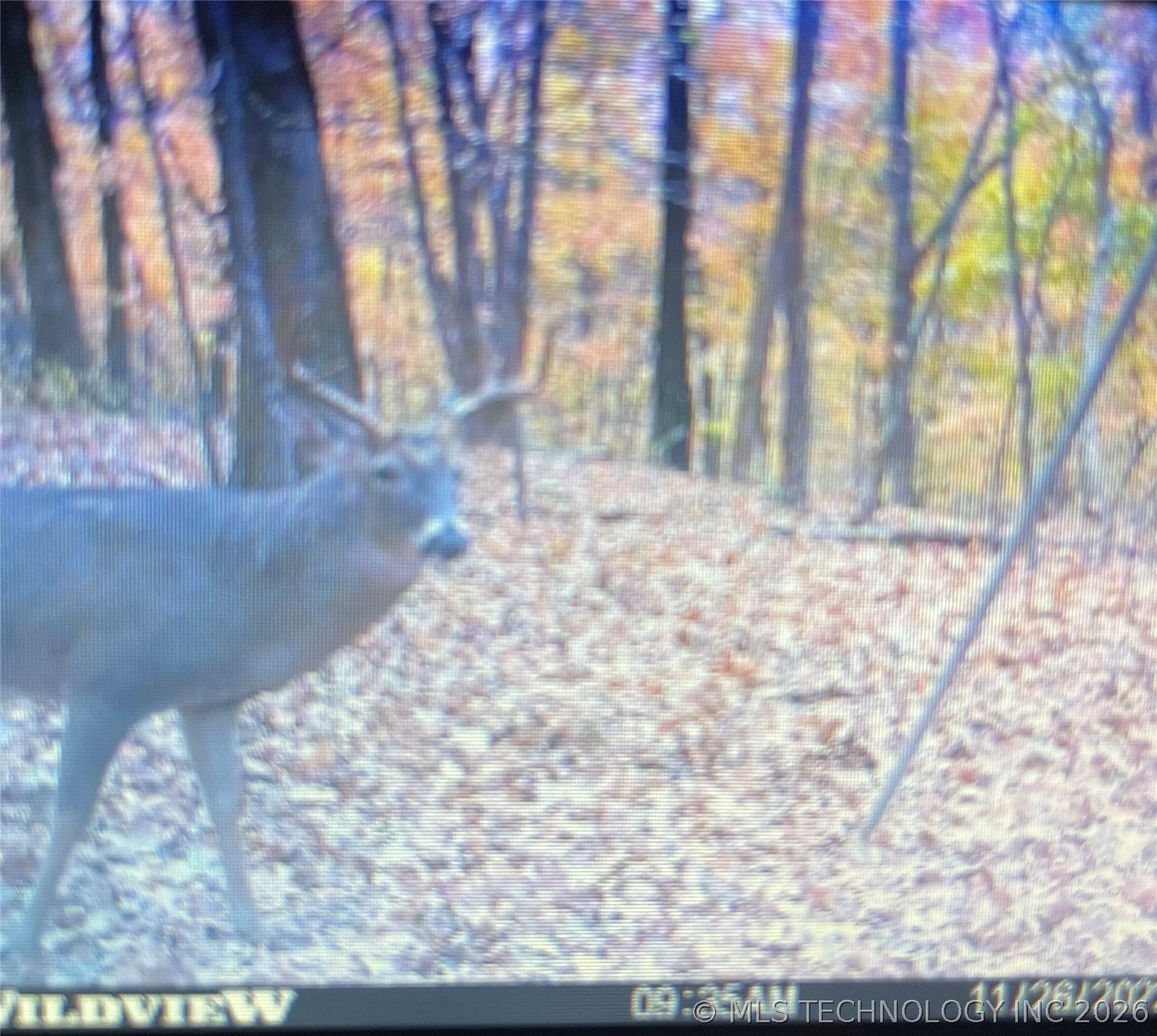 98966 S 4439 Road Gore OK 74435