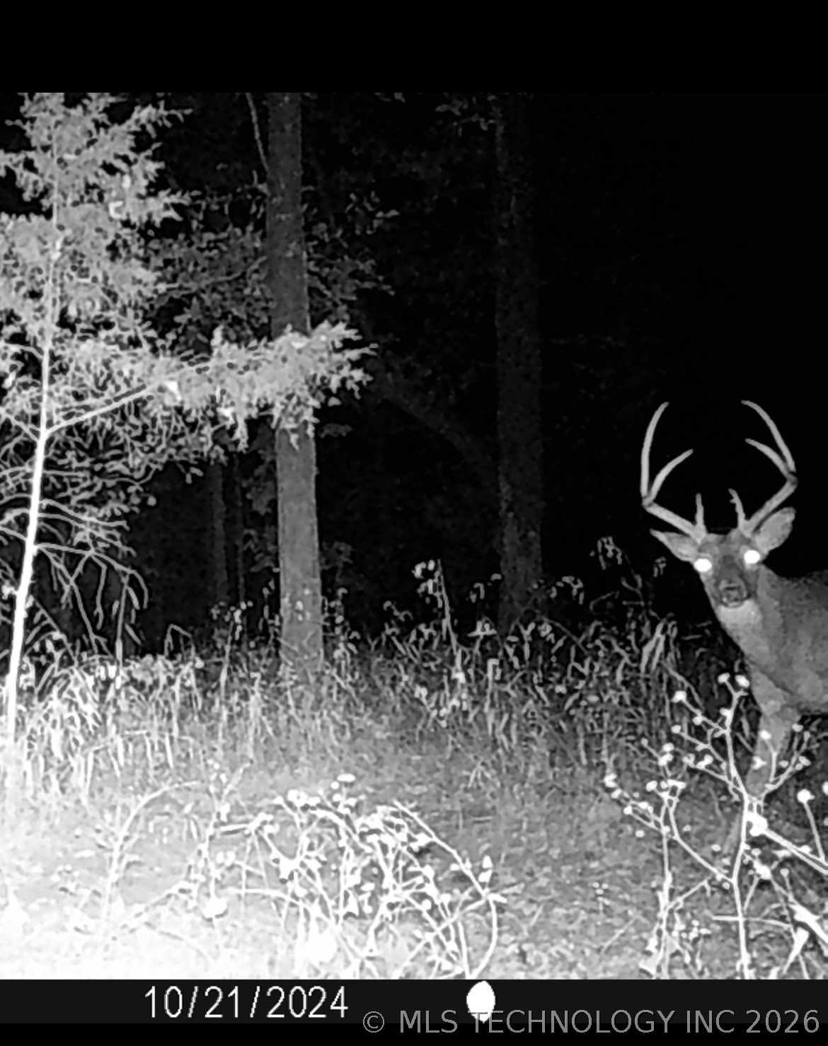 98966 S 4439 Road Gore OK 74435