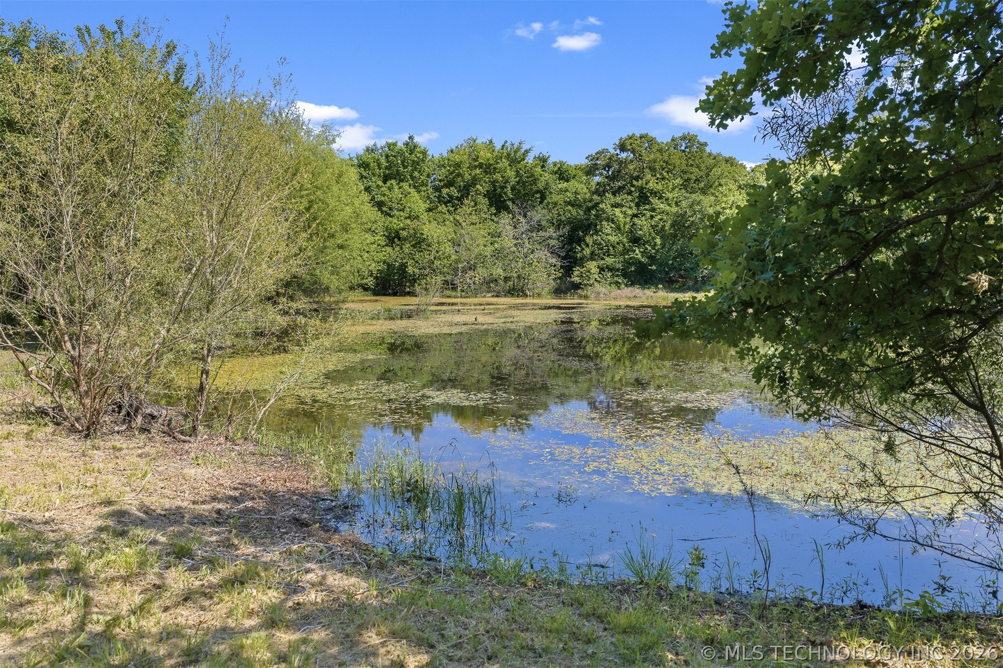 315 Lobo Lone Grove OK 73443