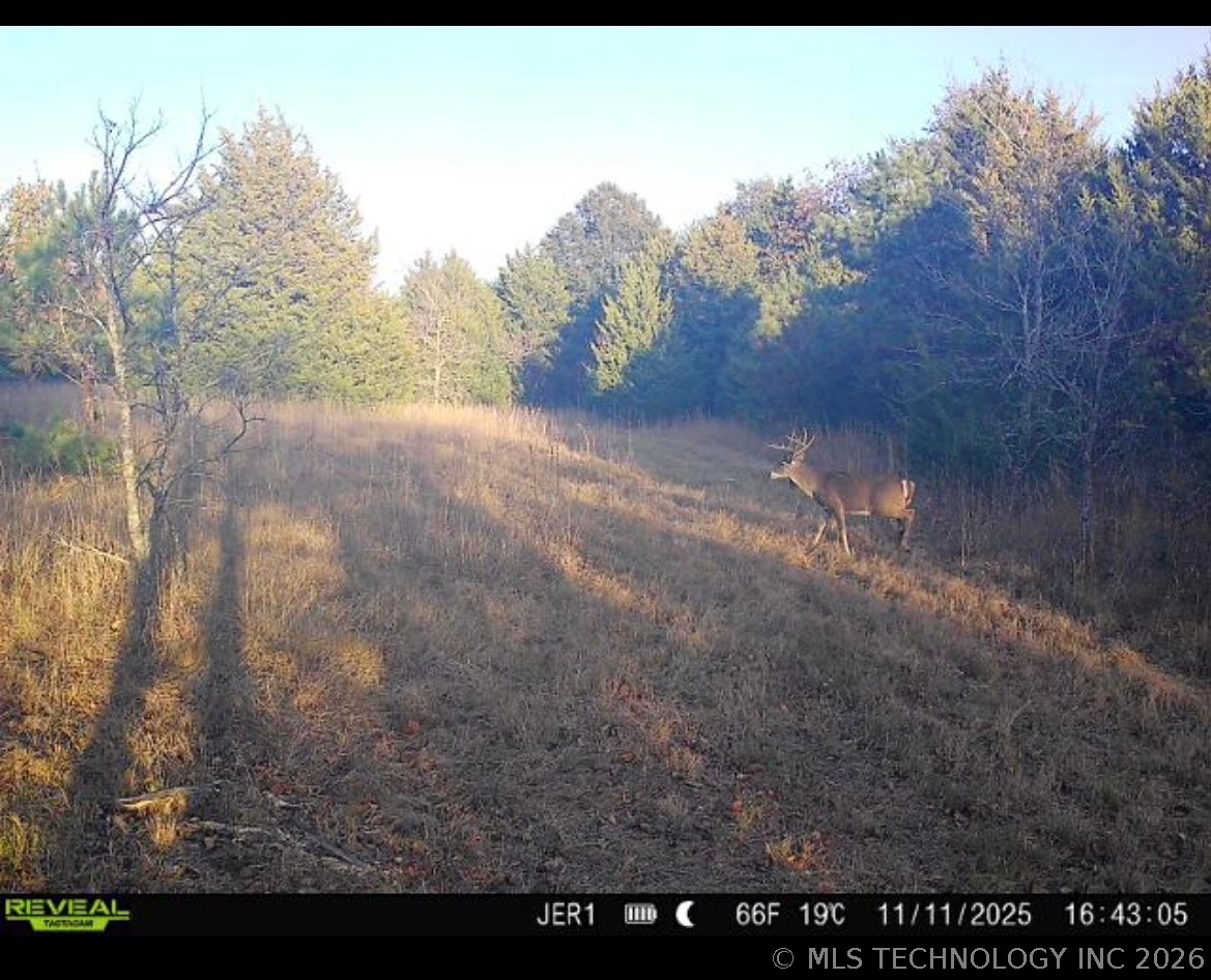 1294 Howell Mcalester OK 74501