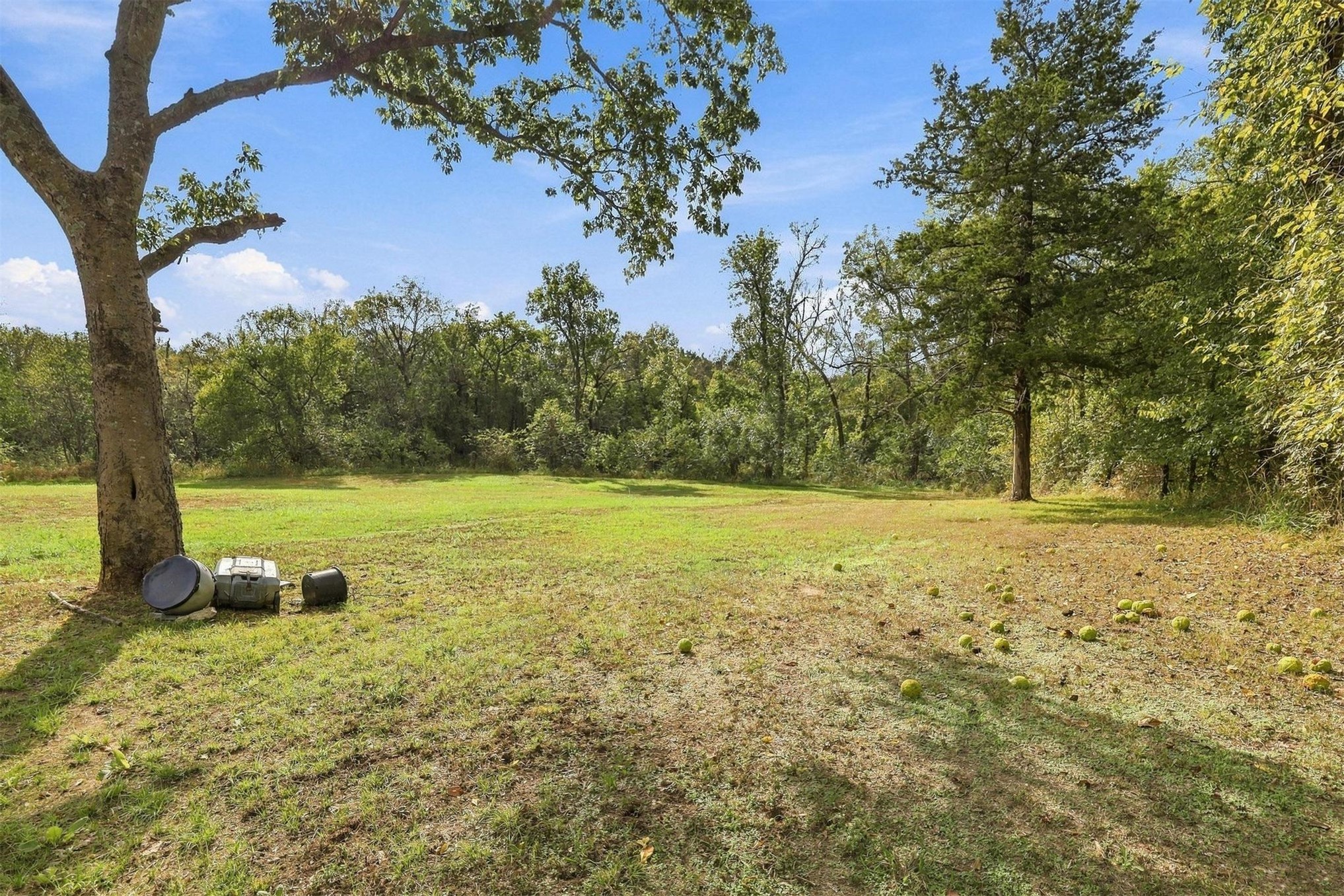 231 Forest Lane Durant OK 74701