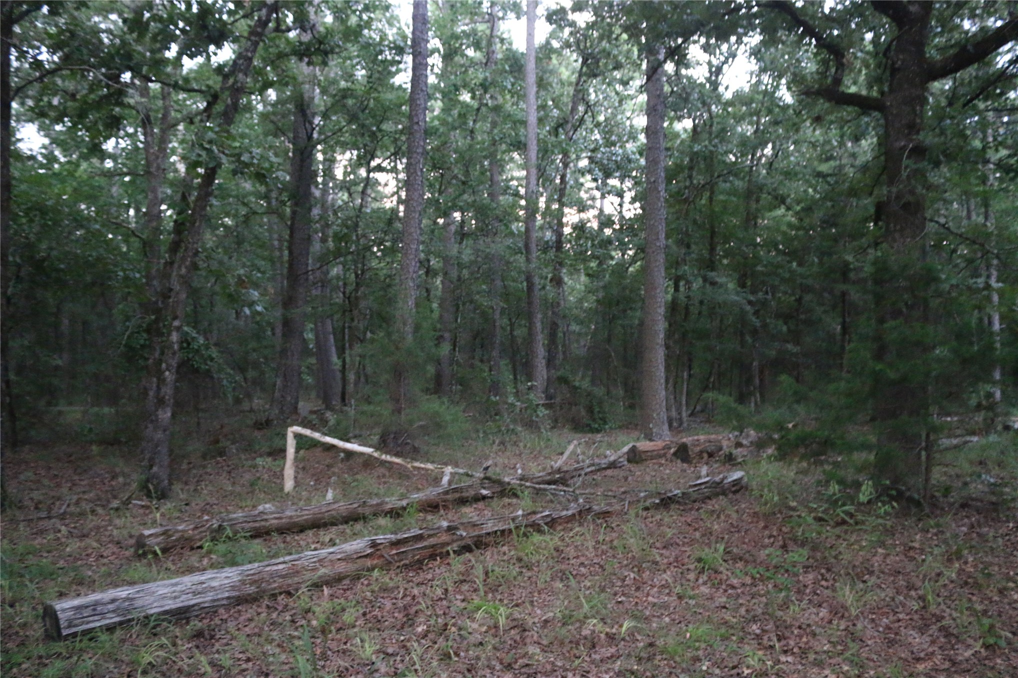 21800 Bobcat Lane Hodgen OK 74939