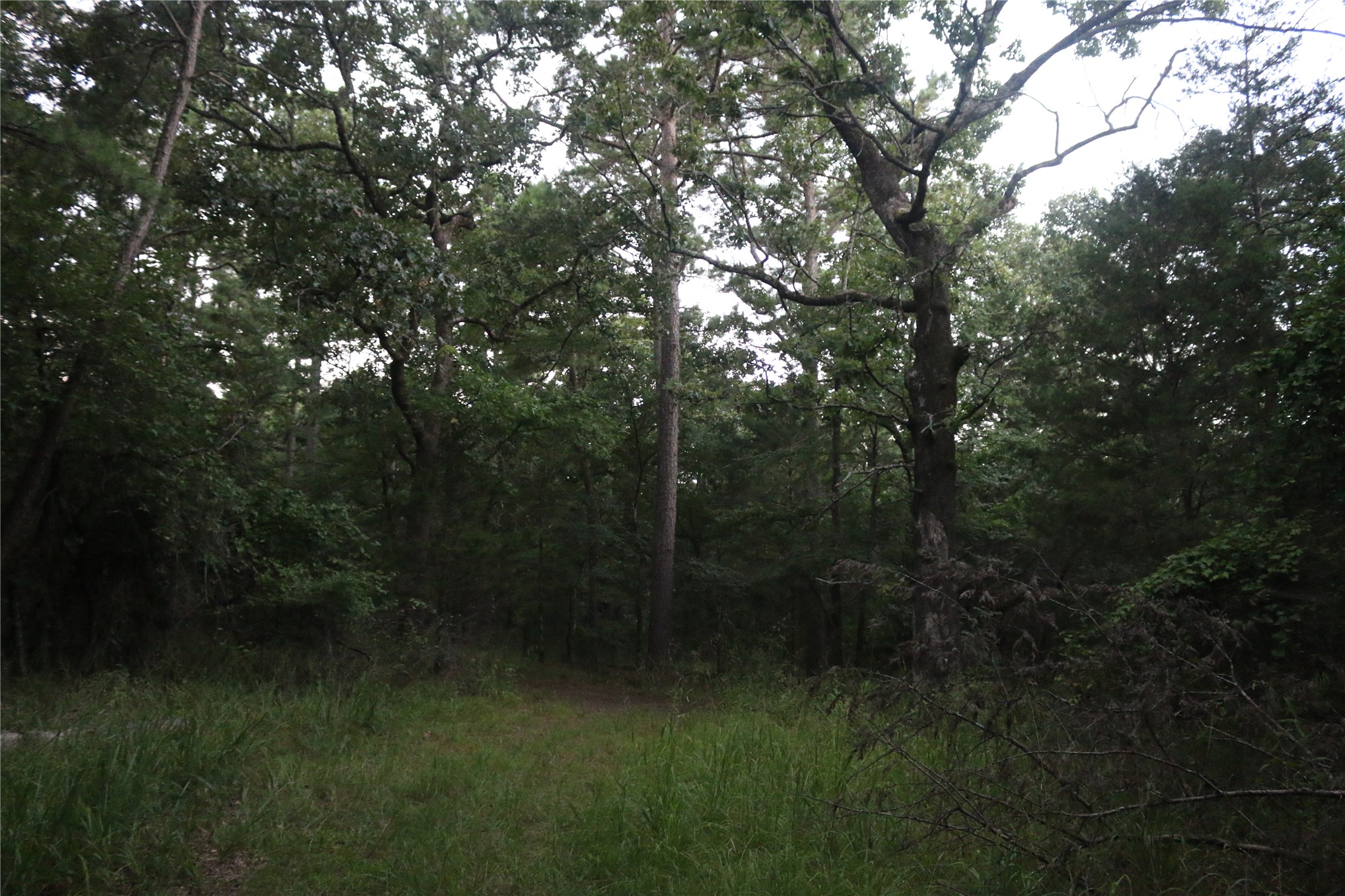 21800 Bobcat Lane Hodgen OK 74939