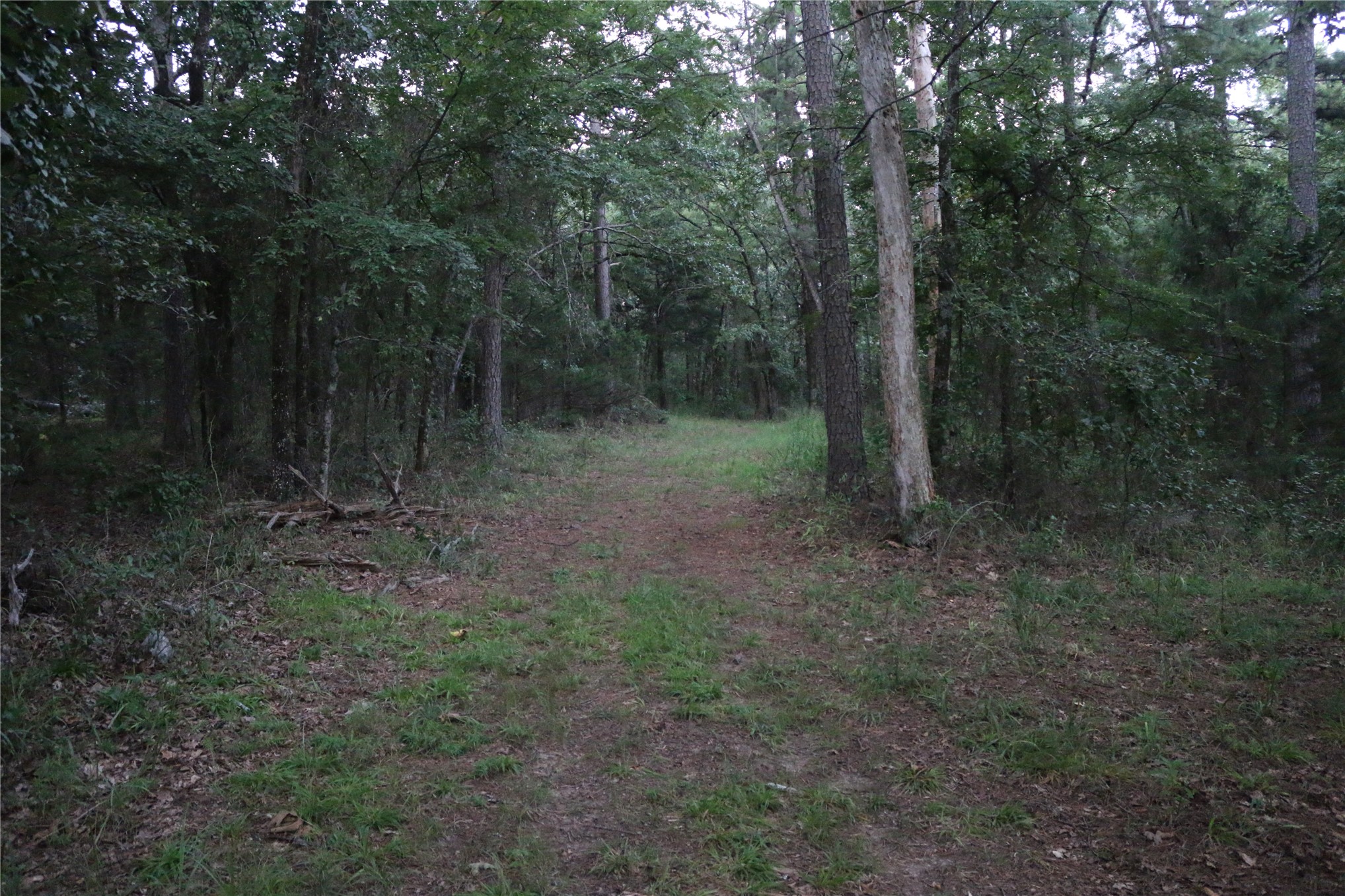 21800 Bobcat Lane Hodgen OK 74939