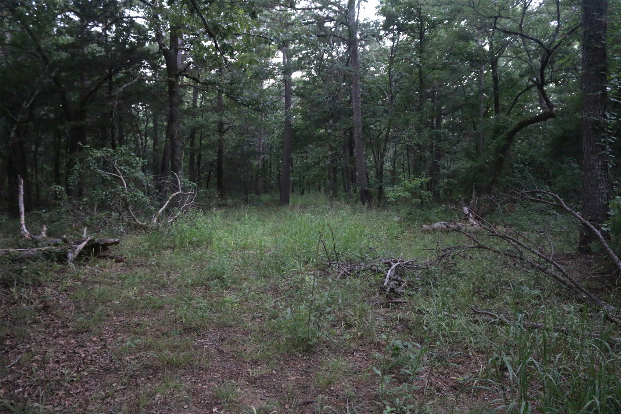 21800 Bobcat Lane Hodgen OK 74939