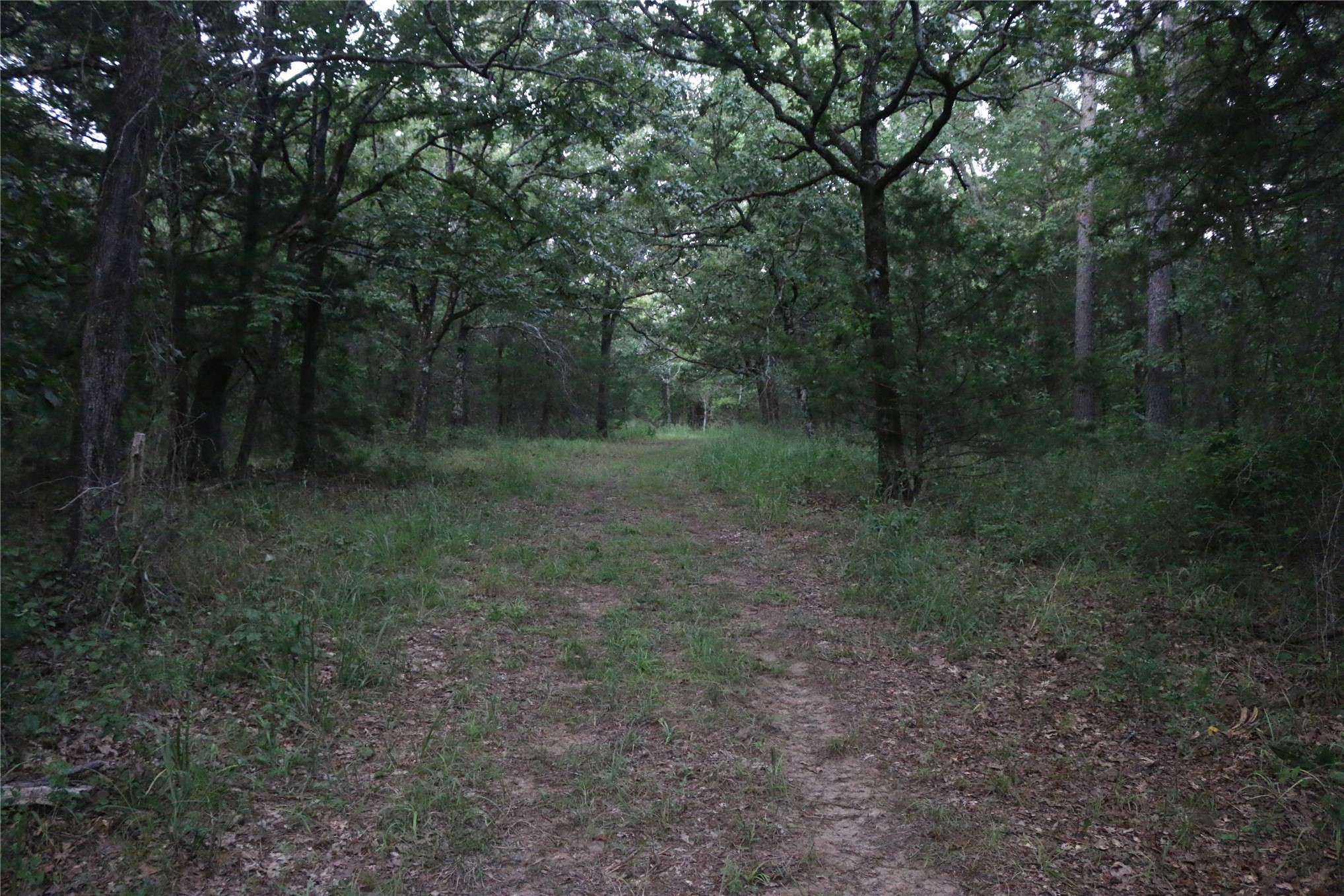 21800 Bobcat Lane Hodgen OK 74939