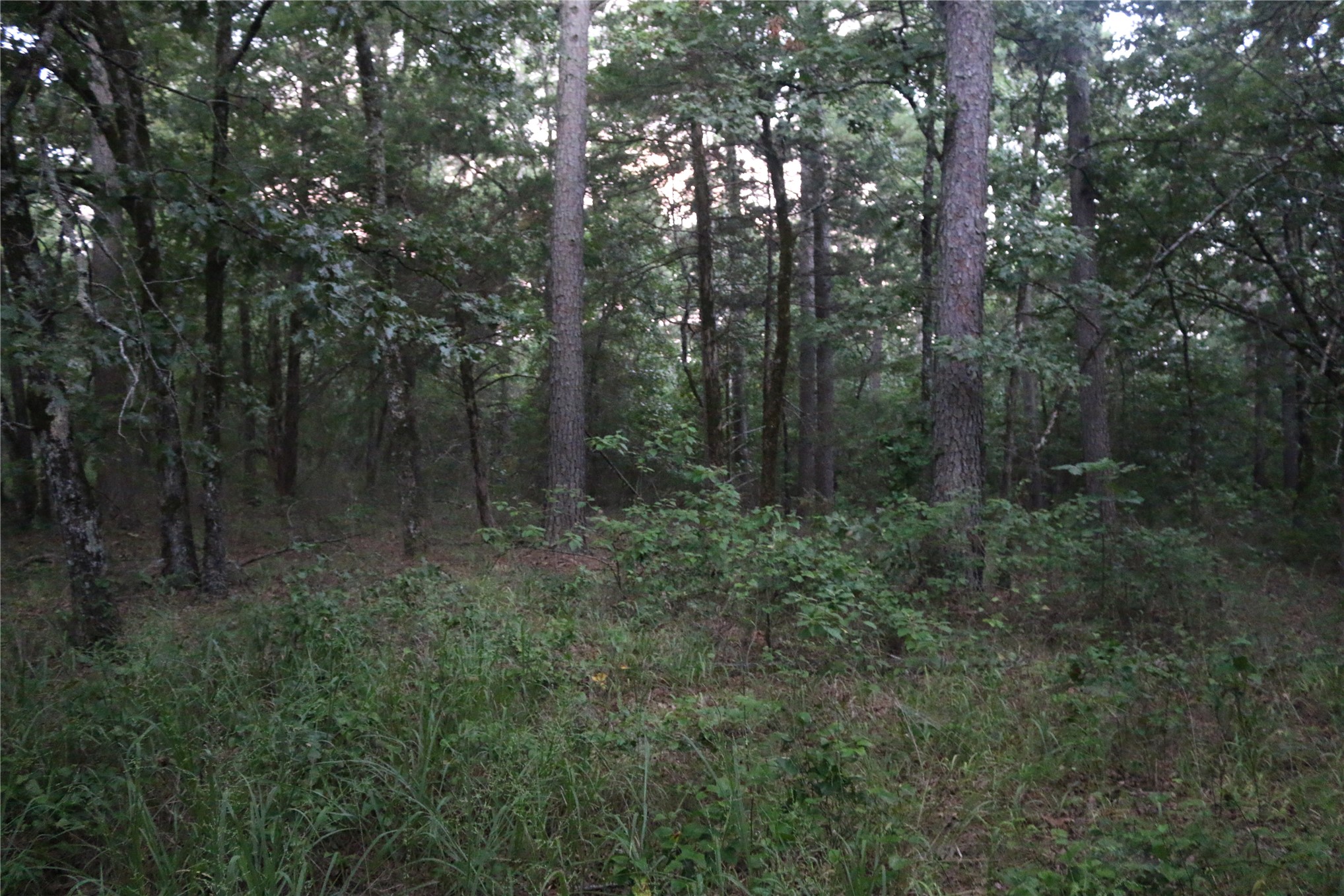 21800 Bobcat Lane Hodgen OK 74939