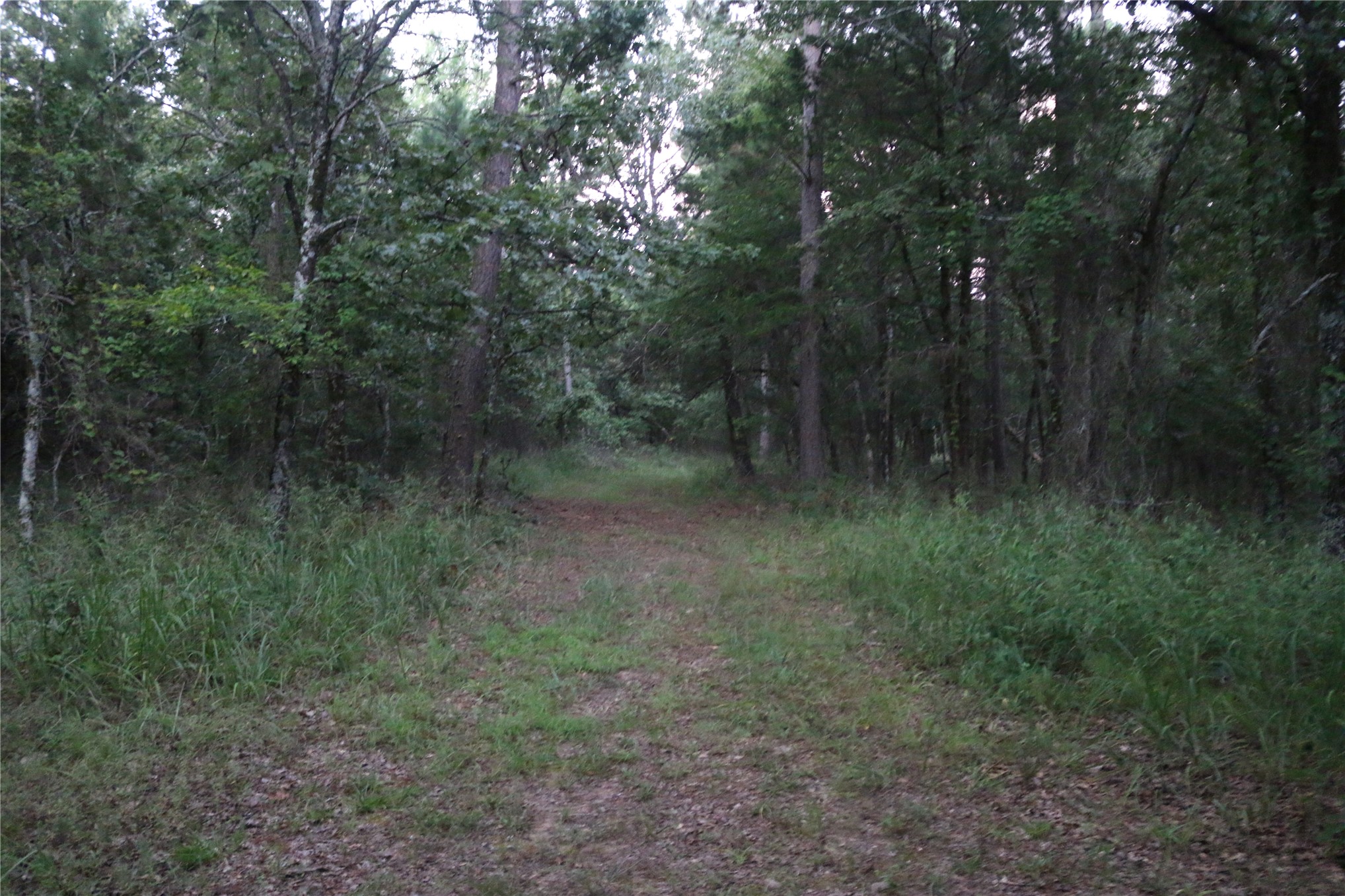 21800 Bobcat Lane Hodgen OK 74939