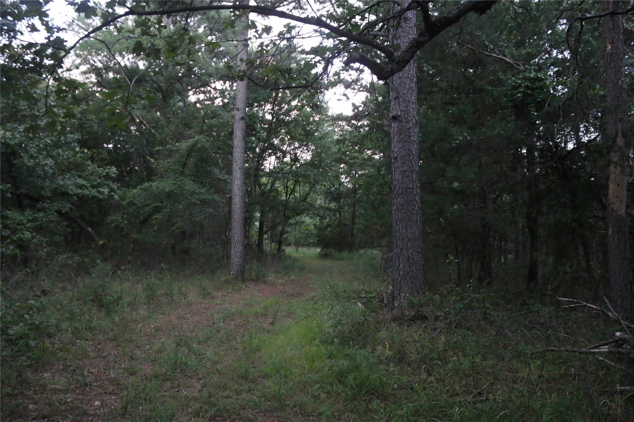 21800 Bobcat Lane Hodgen OK 74939