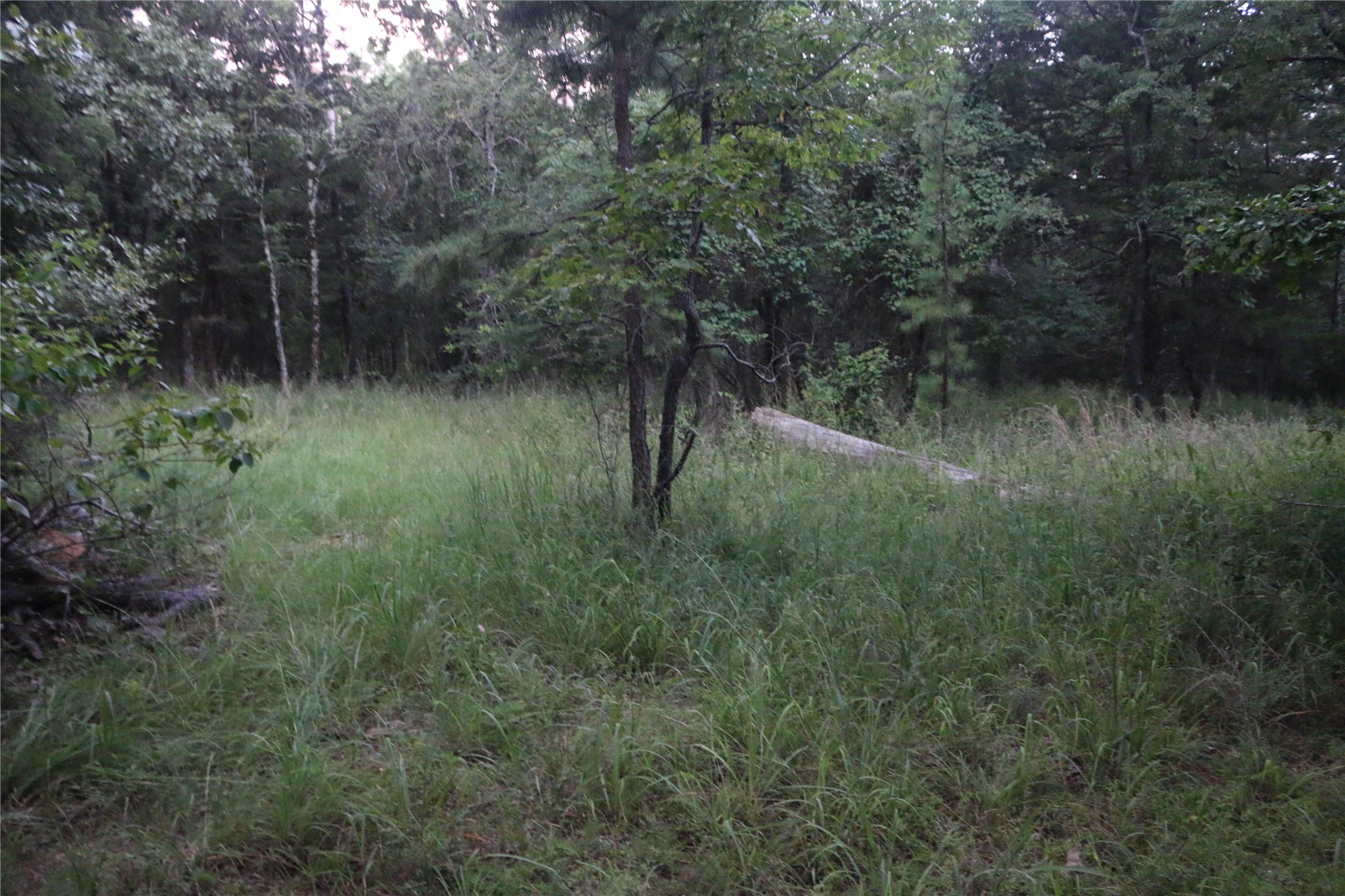 21800 Bobcat Lane Hodgen OK 74939