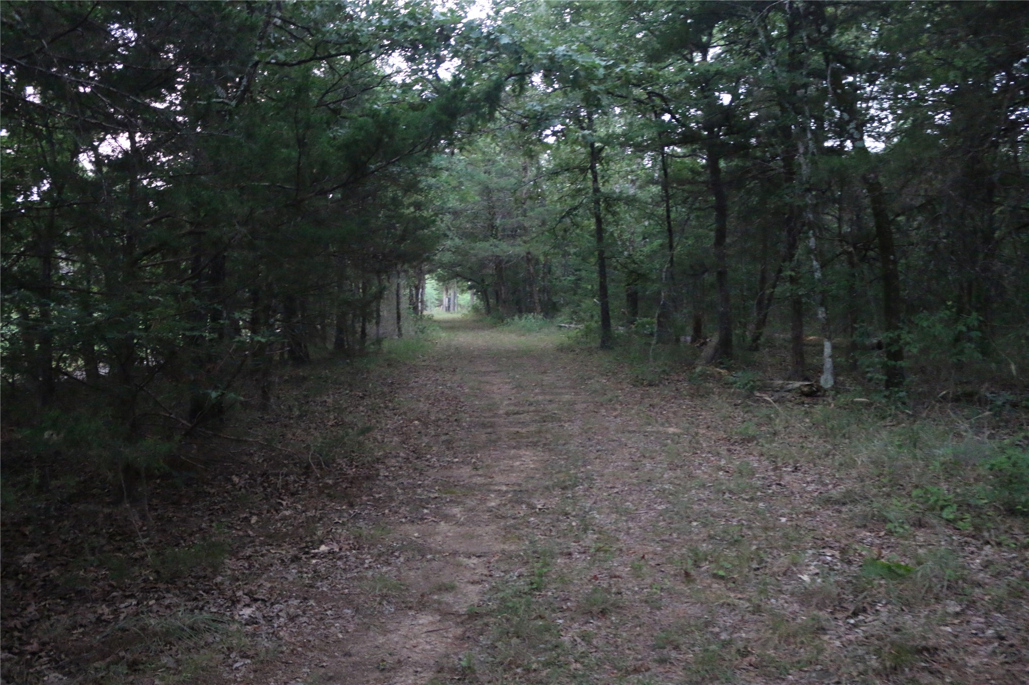 21800 Bobcat Lane Hodgen OK 74939