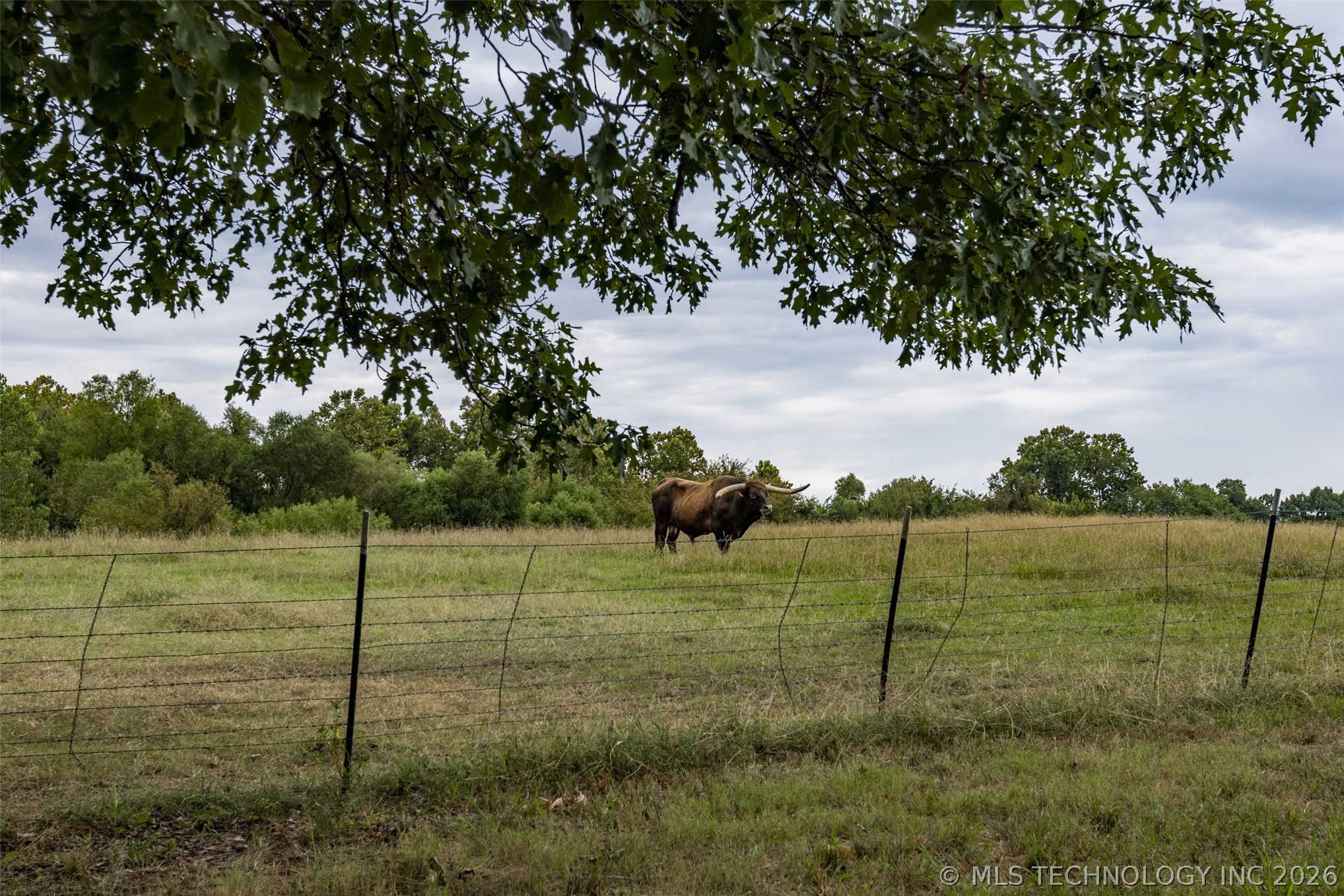 12717 S Chisolm Caddo OK 74729
