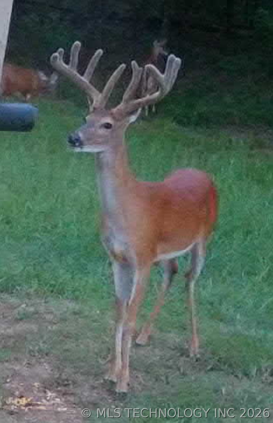 12717 S Chisolm Caddo OK 74729