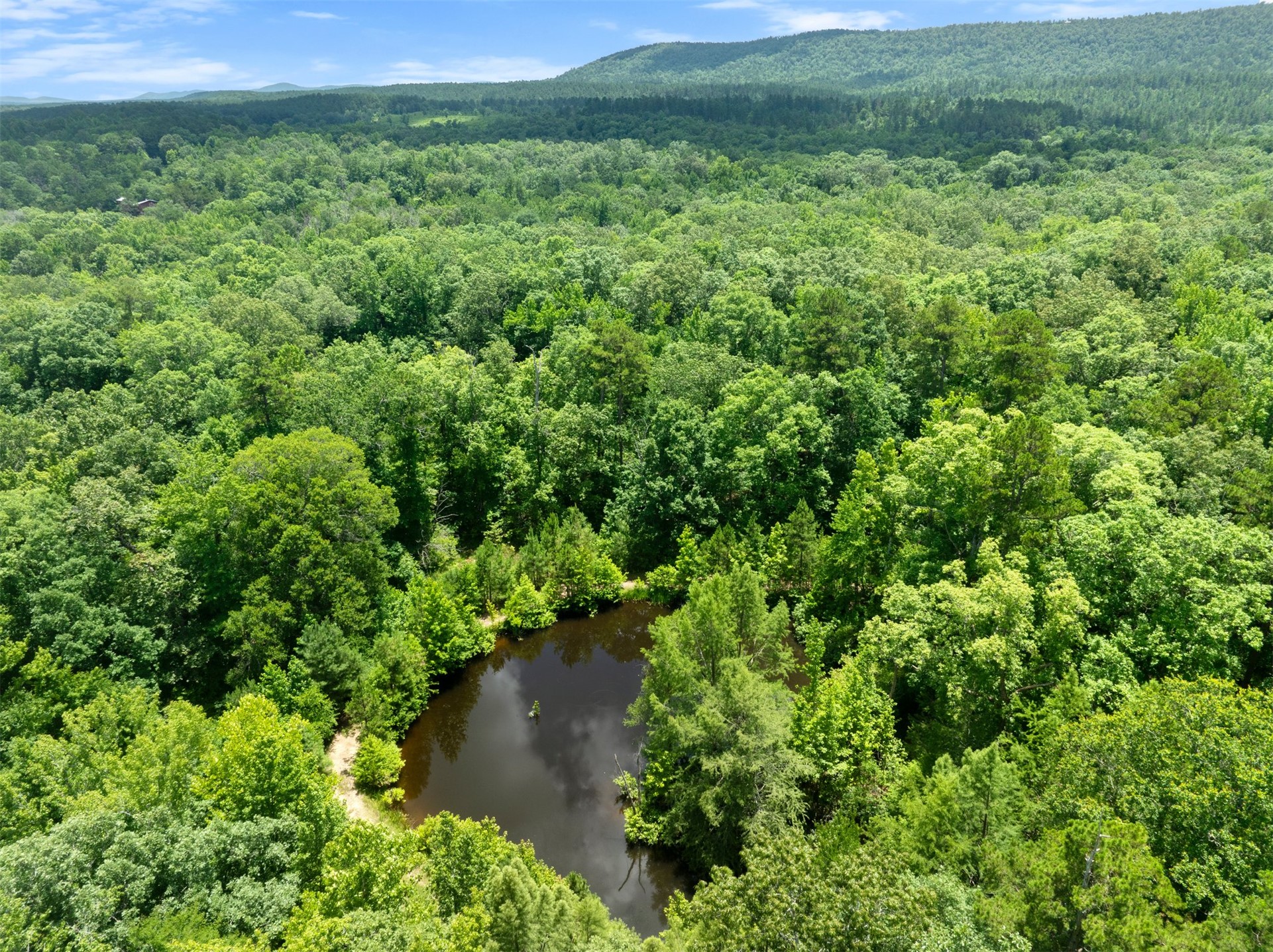 24 Sunfish Creek Trail Smithville OK 74957