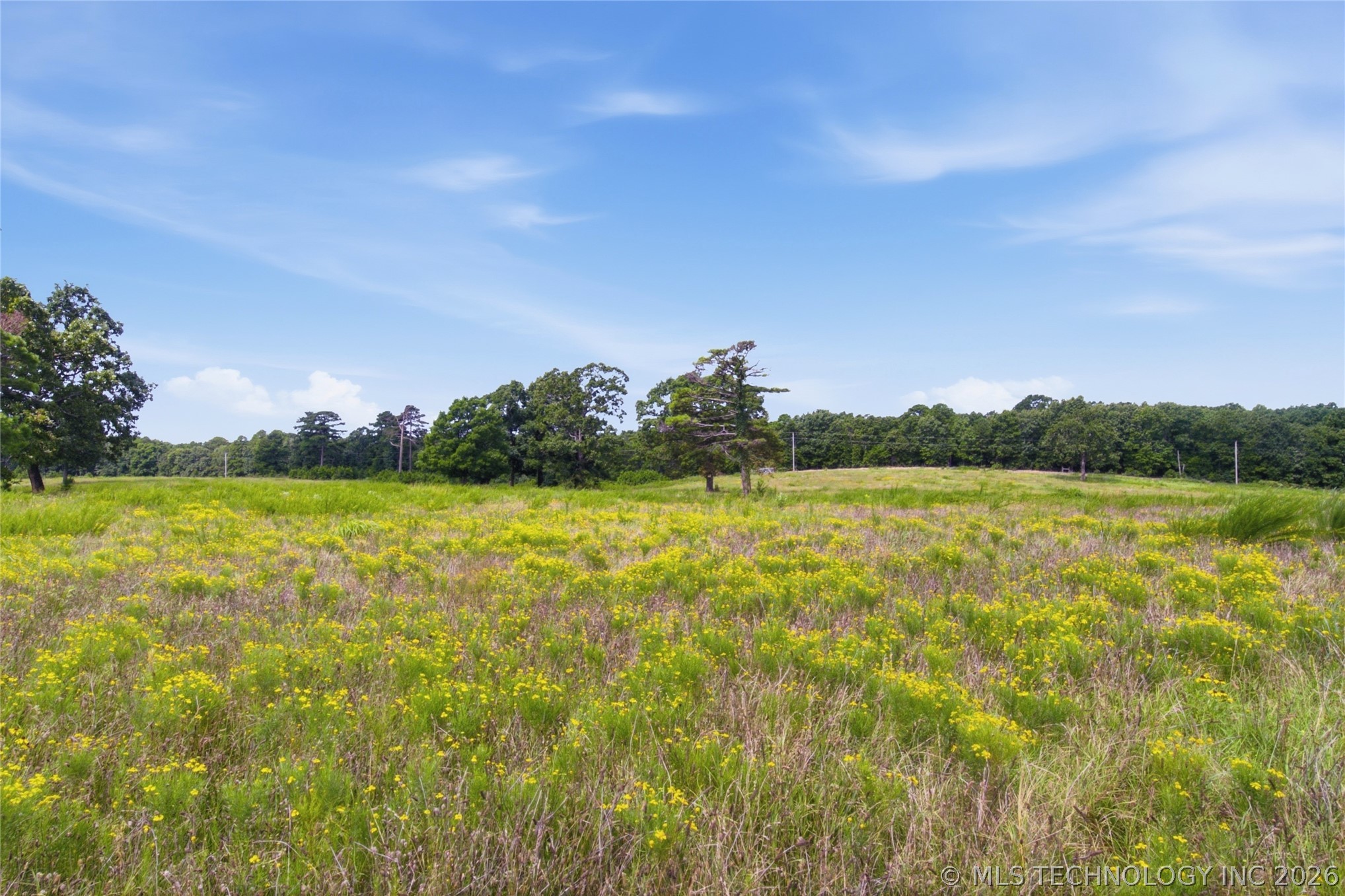 13037 E 590 Road Locust Grove OK 74352