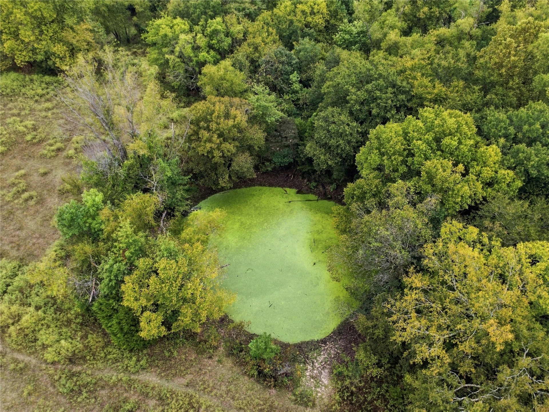 115027 N 3950 Road Weleetka OK 74880