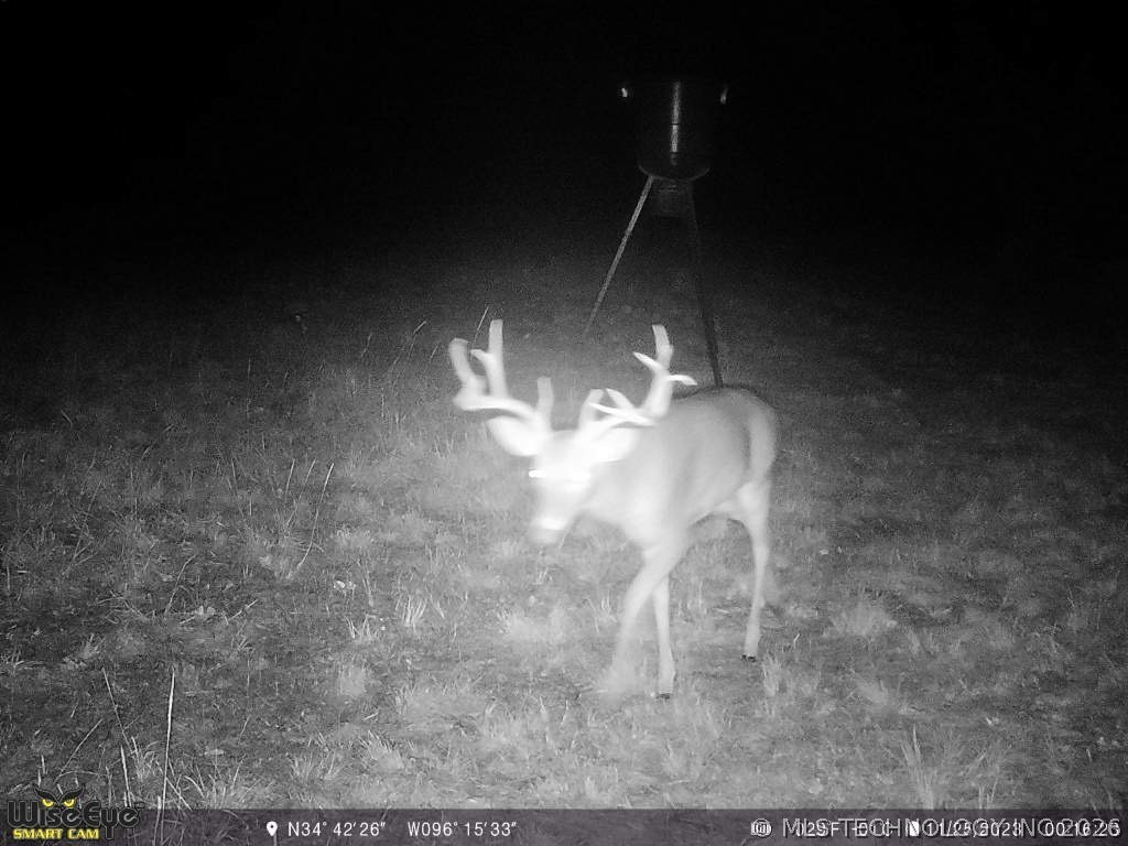 37969 County Road 1590 Coalgate OK 74538
