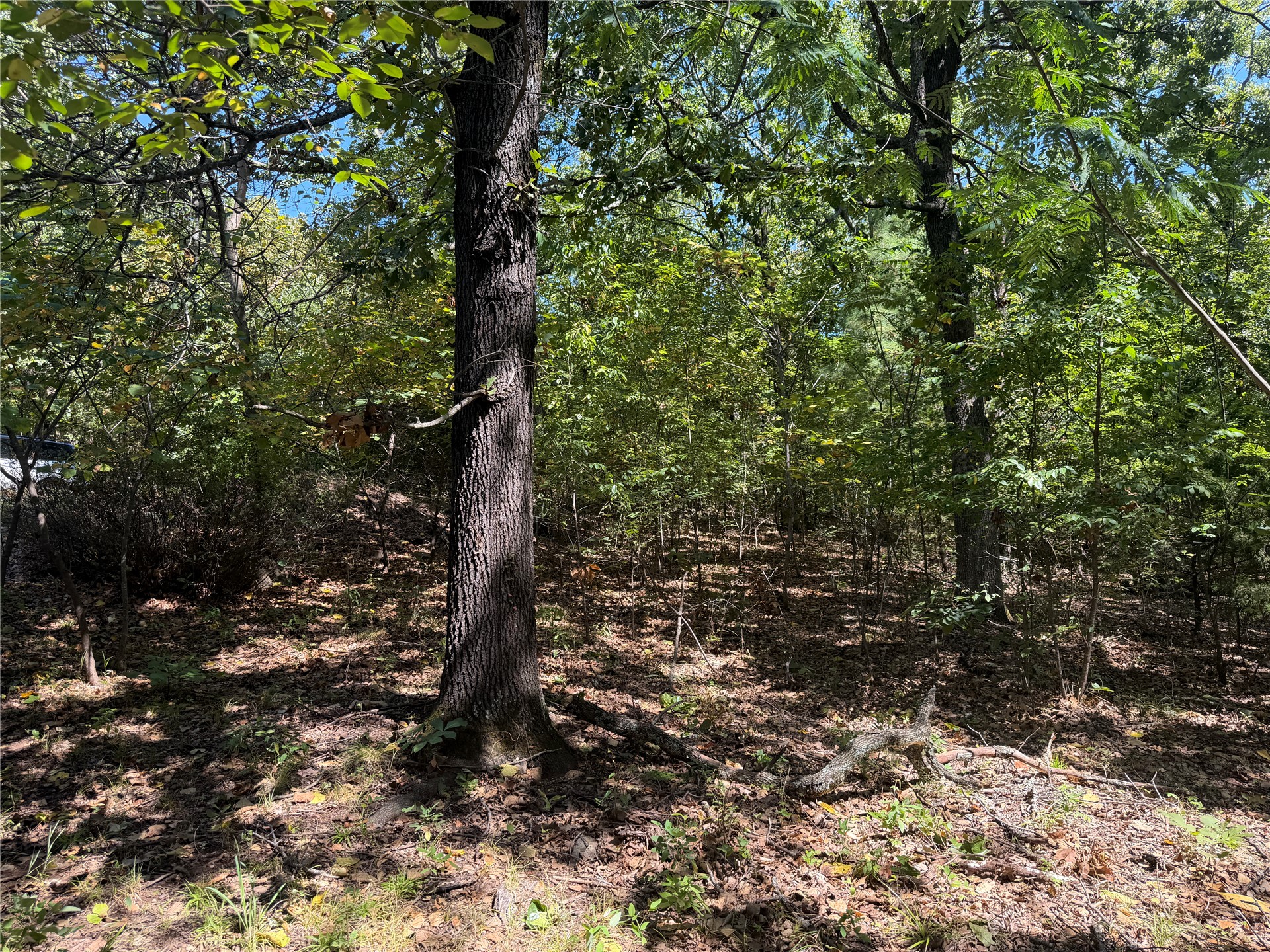 23181 Idlewild Fort Gibson OK 74434