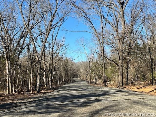 135 Tumbleweed Trail Tishomingo OK 73460