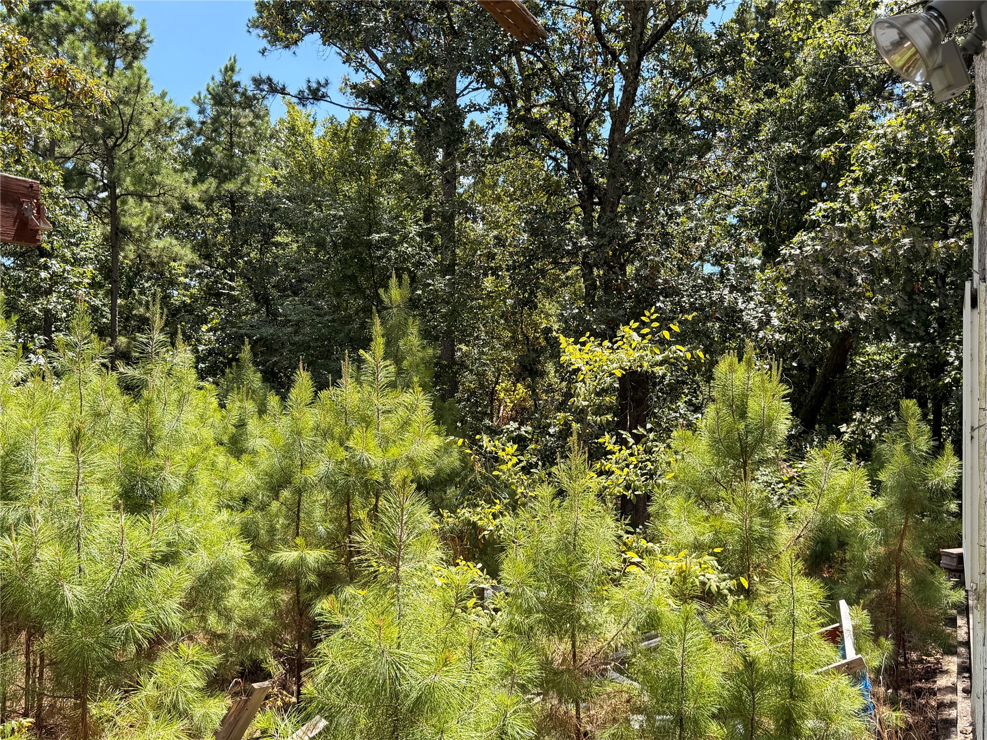 16508 Round Mountain Road Howe OK 74940