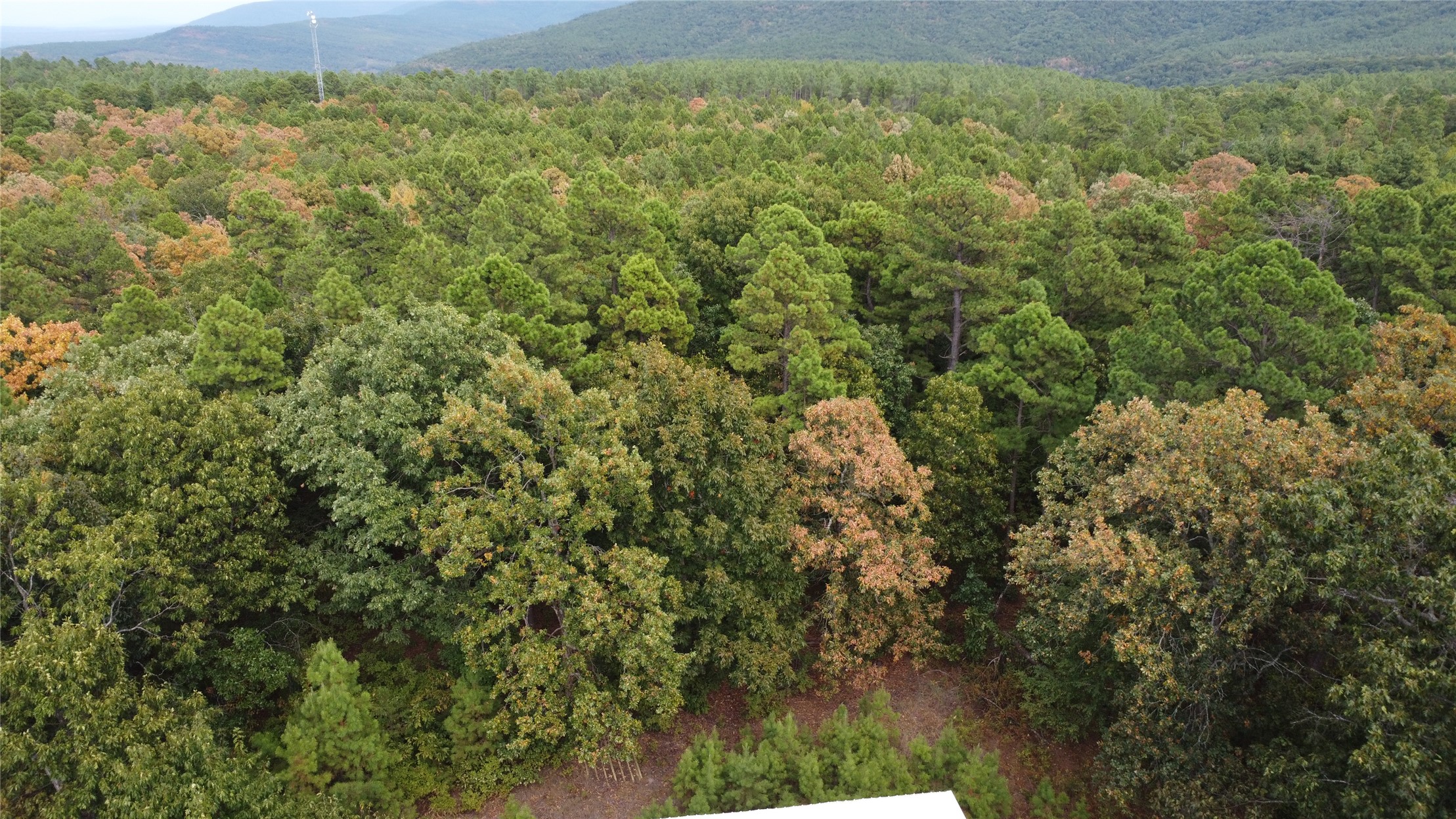 16508 Round Mountain Road Howe OK 74940