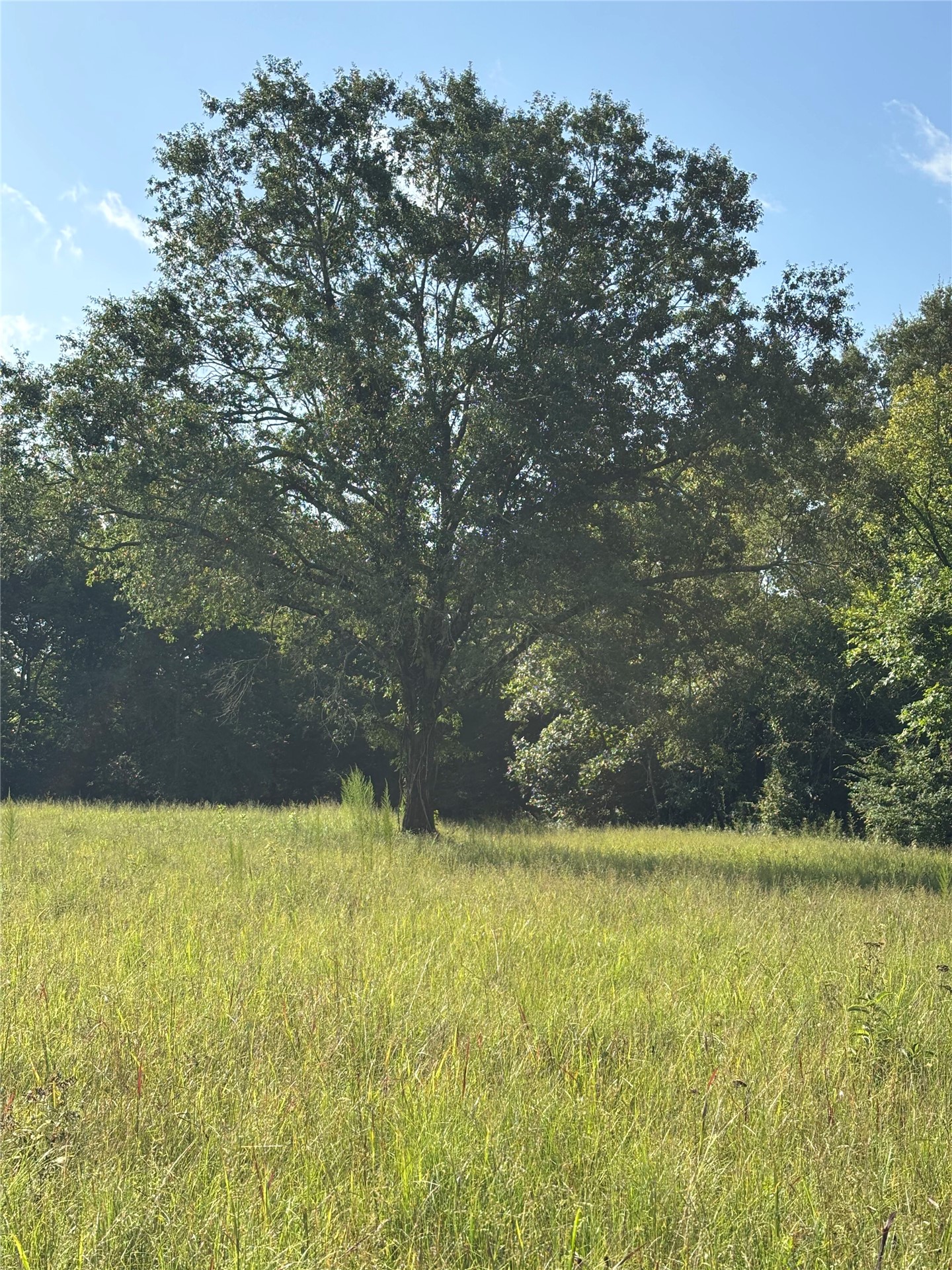 29824 144 Highway Smithville OK 74957