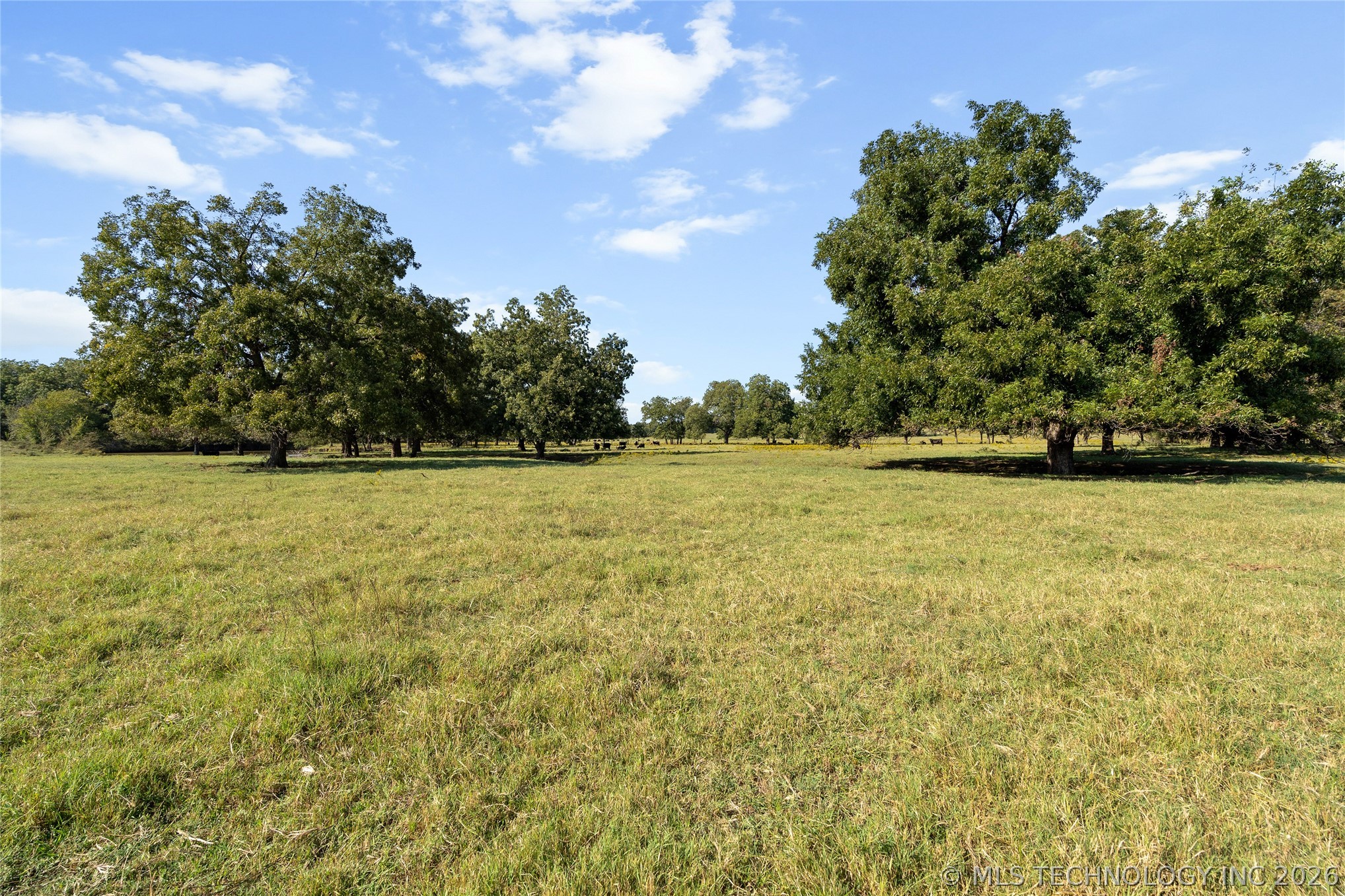 4480 Memorial Road Lone Grove OK 73443