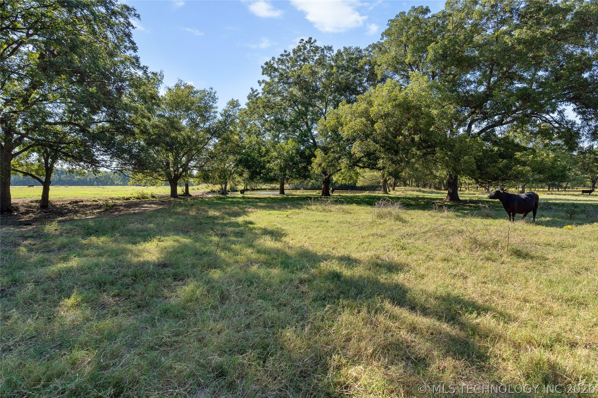 4480 Memorial Road Lone Grove OK 73443