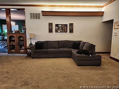 924 Vine Street Chelsea OK 74016