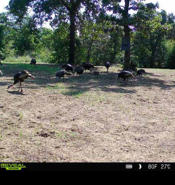 36354 Ew 1140 Road Seminole OK 74868