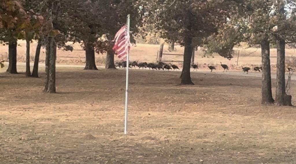 36354 Ew 1140 Road Seminole OK 74868