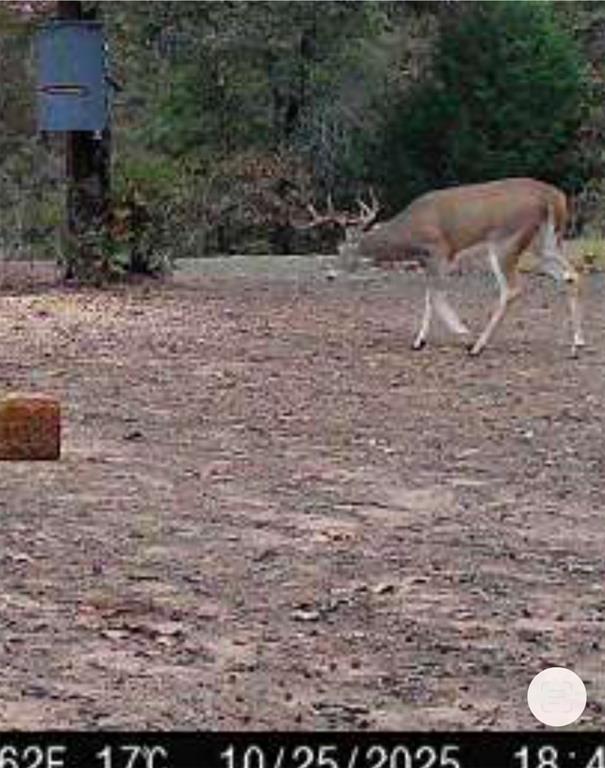 36354 Ew 1140 Road Seminole OK 74868