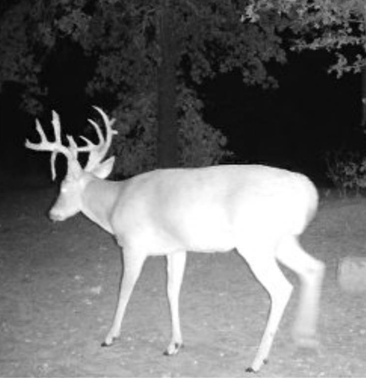 36354 Ew 1140 Road Seminole OK 74868