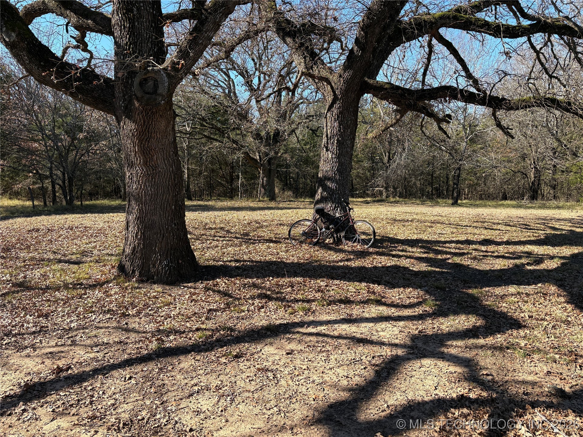 1183 Romia Achille OK 74726