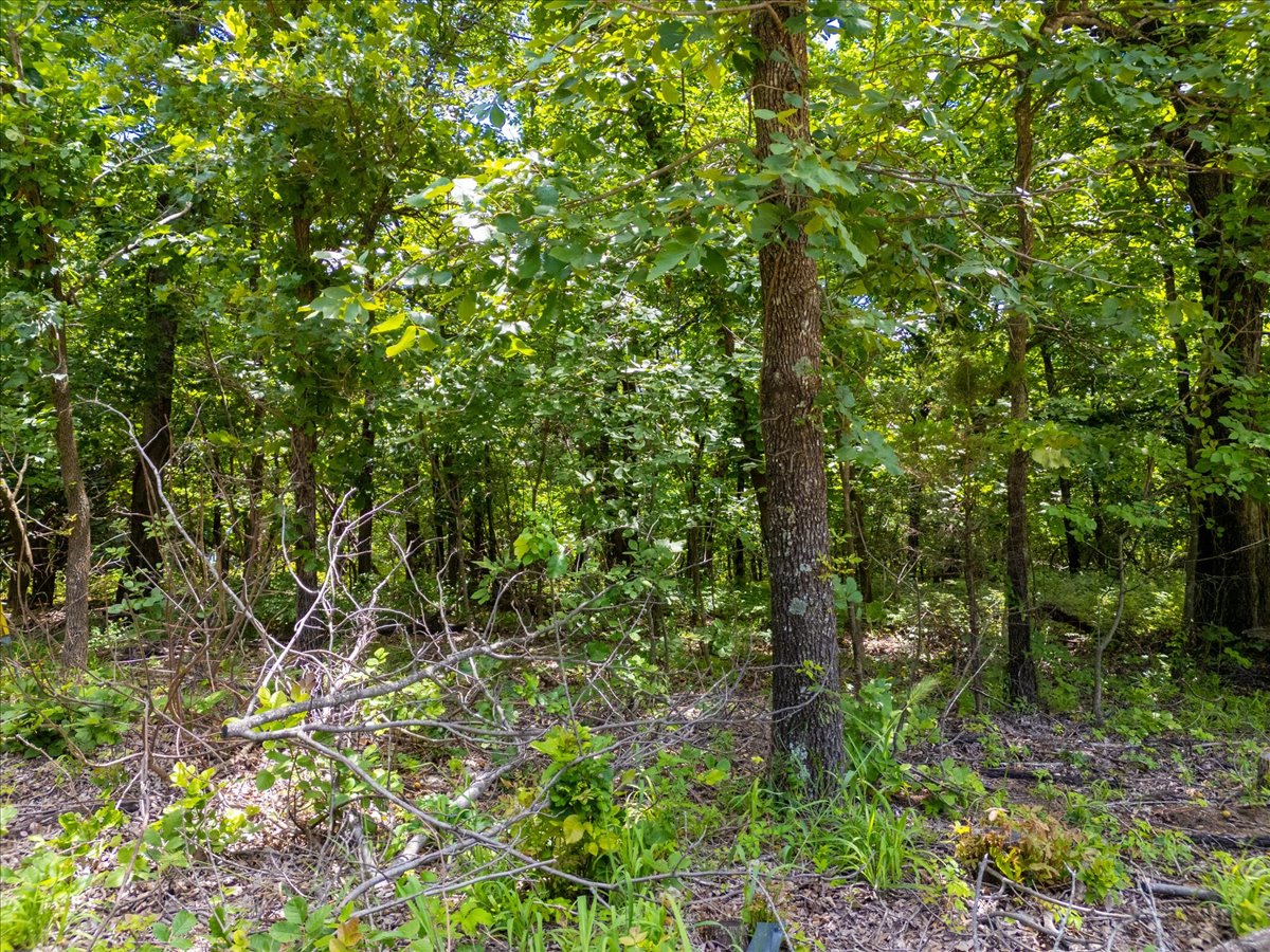 15255 W Overlook Drive W Sand Springs OK 74063